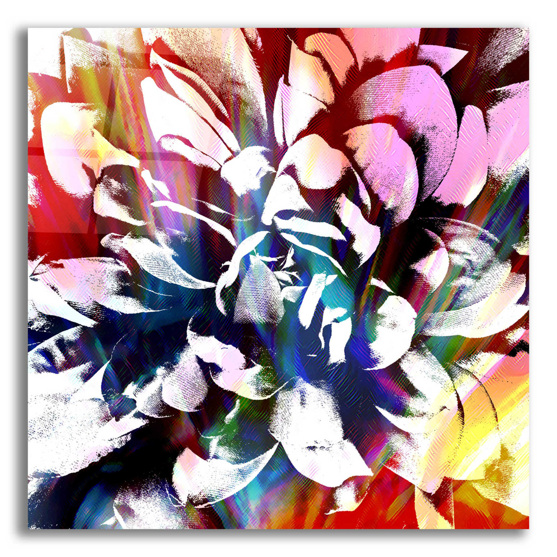 Epic Art 'Flower Power' by Shandra Smith, Acrylic Glass Wall Art,12x12x1.1x0,18x18x1.1x0,26x26x1.74x0,37x37x1.74x0