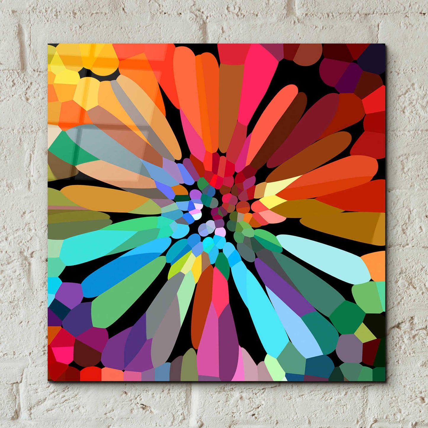 Epic Art 'Flower' by Shandra Smith, Acrylic Glass Wall Art,12x12