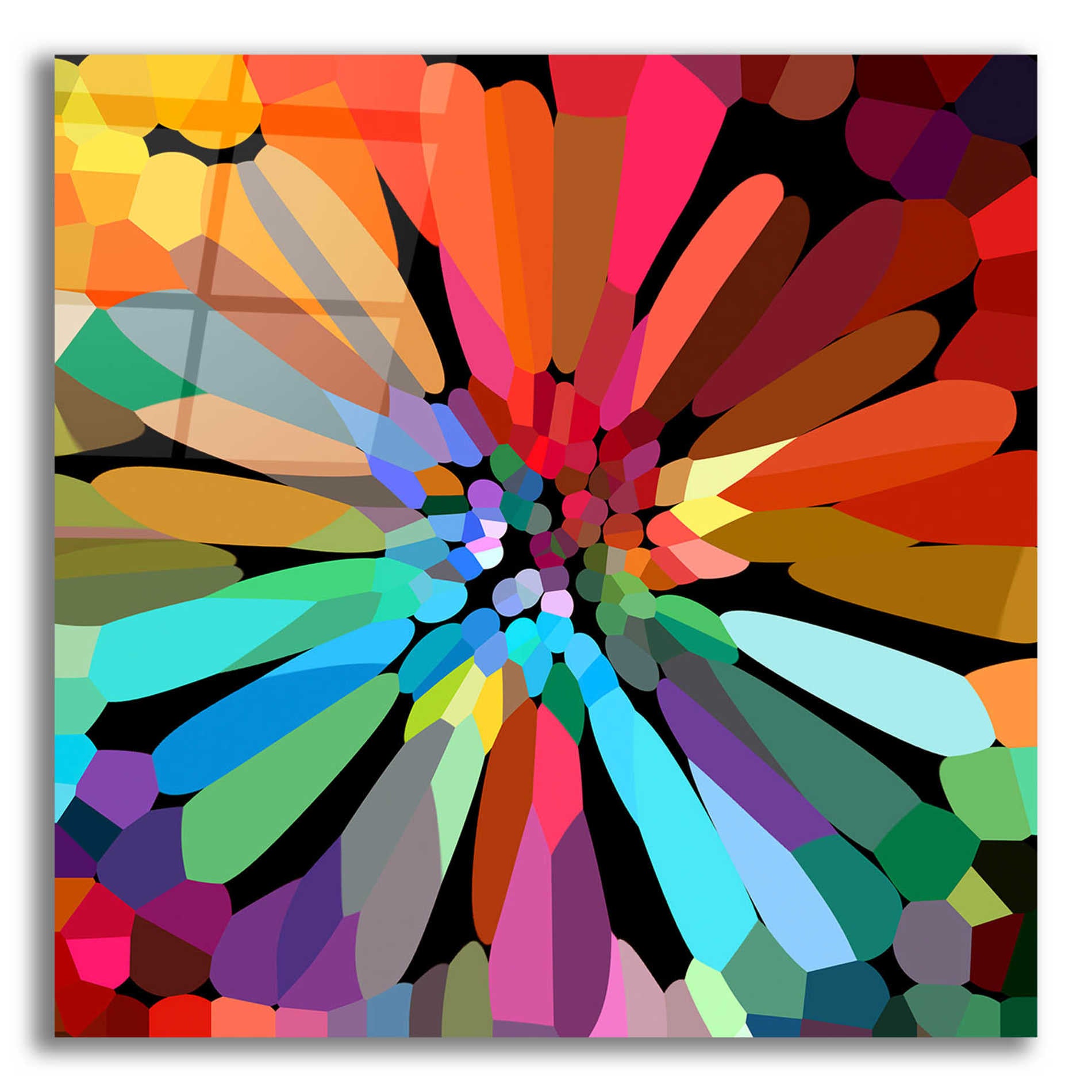 Epic Art 'Flower' by Shandra Smith, Acrylic Glass Wall Art,12x12