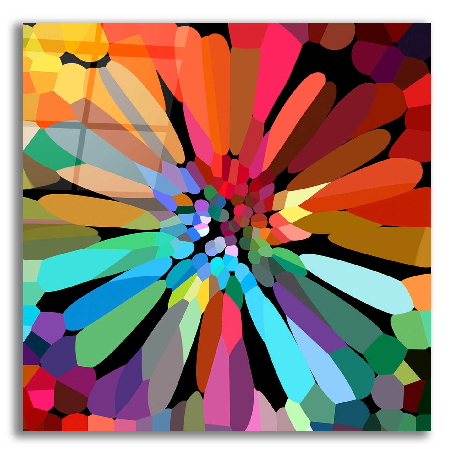 Epic Art 'Flower' by Shandra Smith, Acrylic Glass Wall Art,12x12x1.1x0,18x18x1.1x0,26x26x1.74x0,37x37x1.74x0