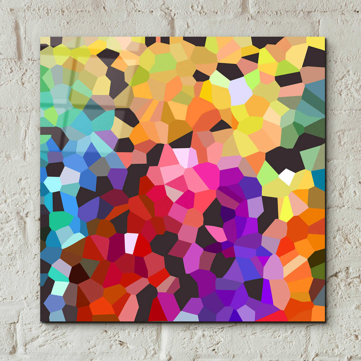 Epic Art 'Fooling Around' by Shandra Smith, Acrylic Glass Wall Art,12x12