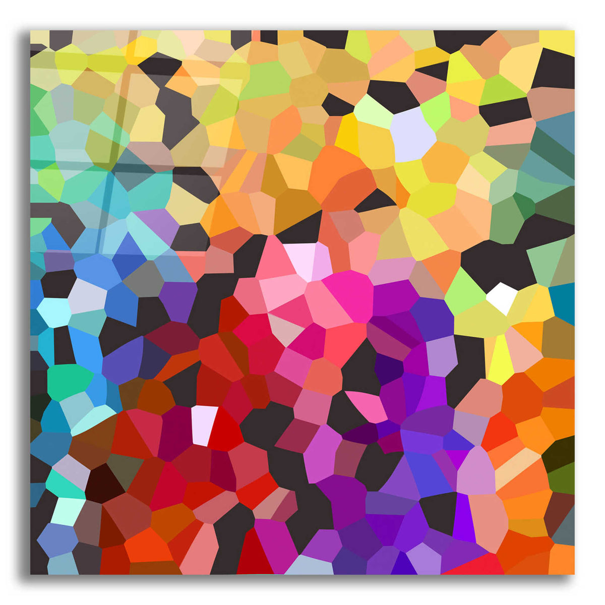Epic Art 'Fooling Around' by Shandra Smith, Acrylic Glass Wall Art,12x12x1.1x0,18x18x1.1x0,26x26x1.74x0,37x37x1.74x0