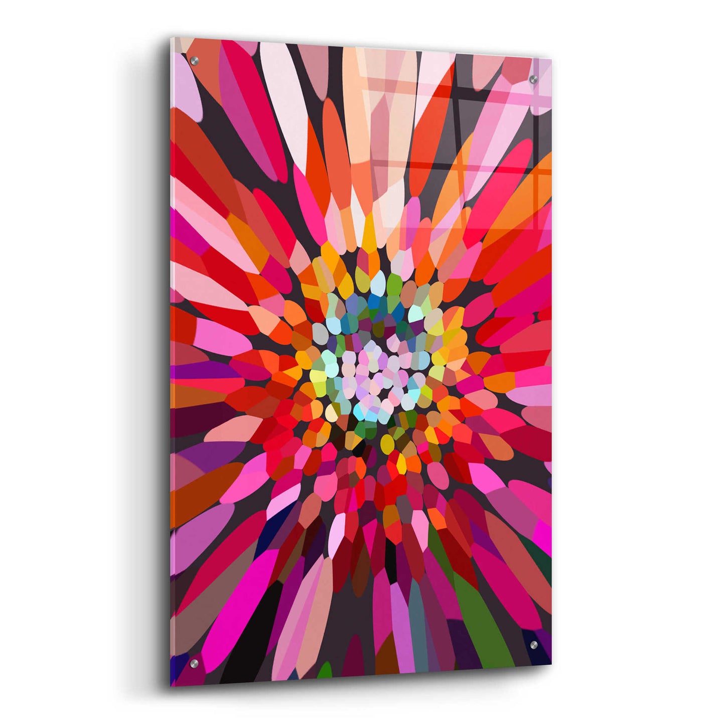 Epic Art 'Pink Flower' by Shandra Smith, Acrylic Glass Wall Art,24x36
