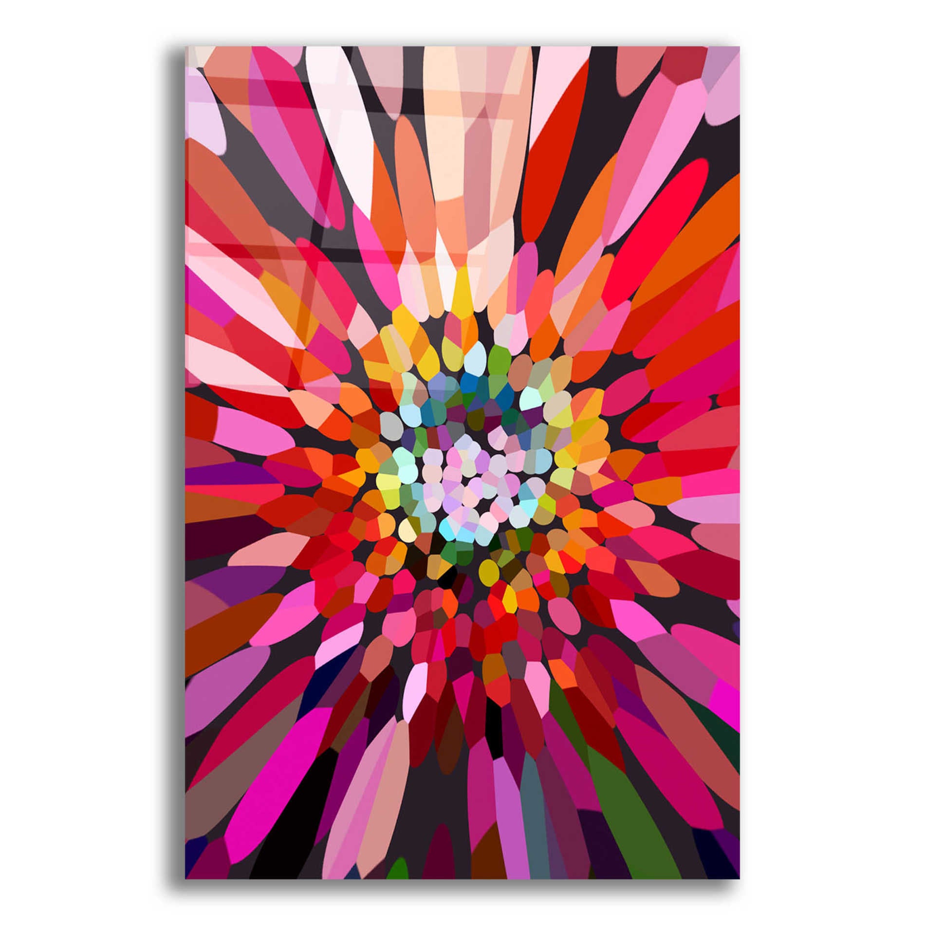 Epic Art 'Pink Flower' by Shandra Smith, Acrylic Glass Wall Art,12x16x1.1x0,20x24x1.1x0,26x30x1.74x0,40x54x1.74x0