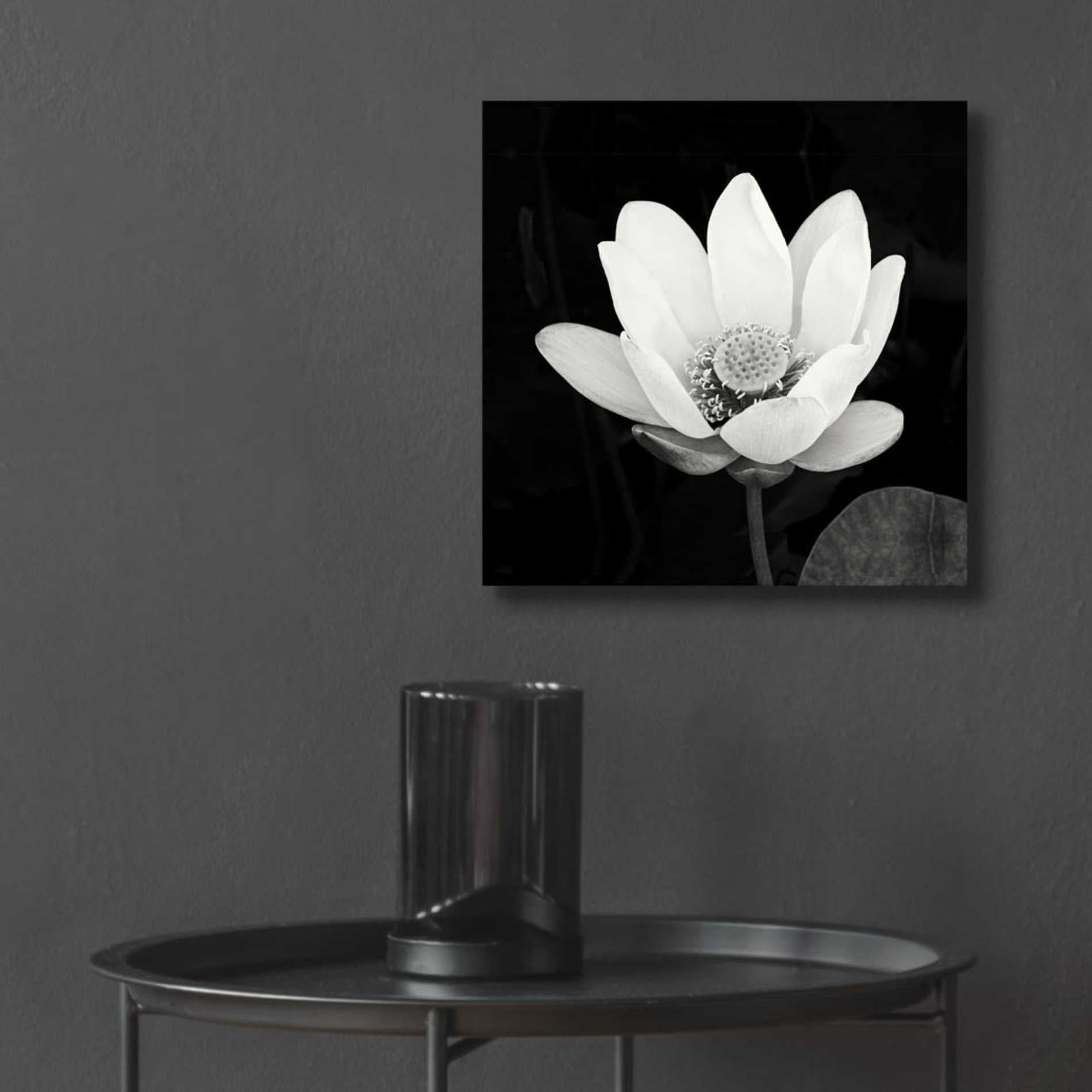 Epic Art 'Lotus Flower I' by Debra Van Swearingen, Acrylic Glass Wall Art,12x12