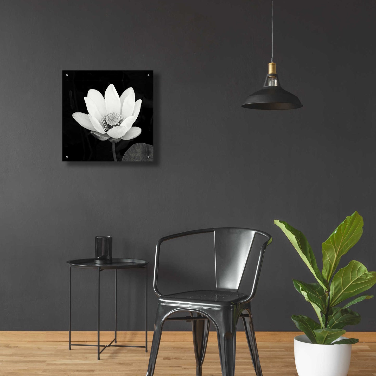 Epic Art 'Lotus Flower I' by Debra Van Swearingen, Acrylic Glass Wall Art,24x24