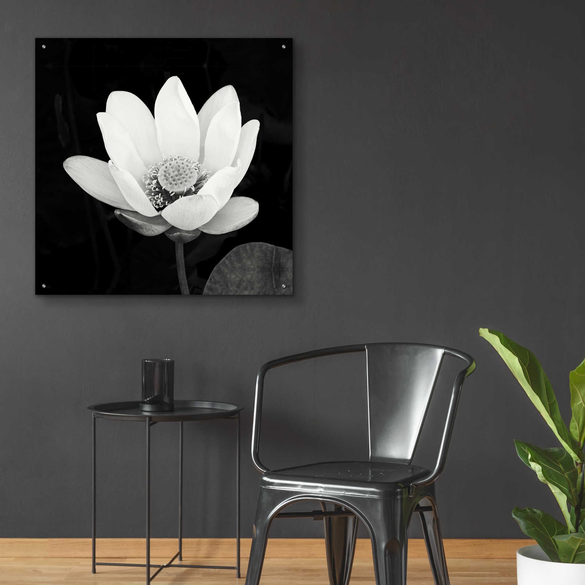 Epic Art 'Lotus Flower I' by Debra Van Swearingen, Acrylic Glass Wall Art,36x36