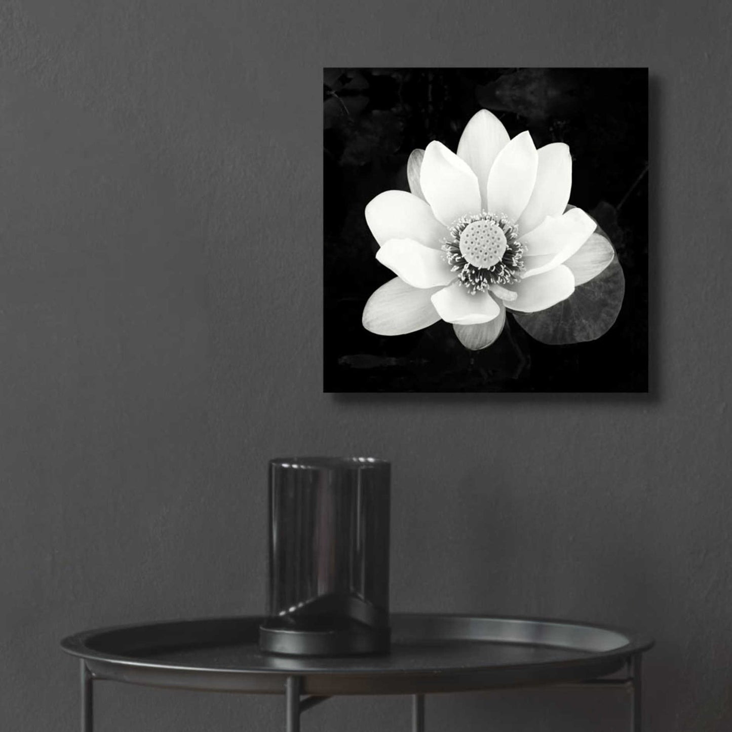 Epic Art 'Lotus Flower II' by Debra Van Swearingen, Acrylic Glass Wall Art,12x12