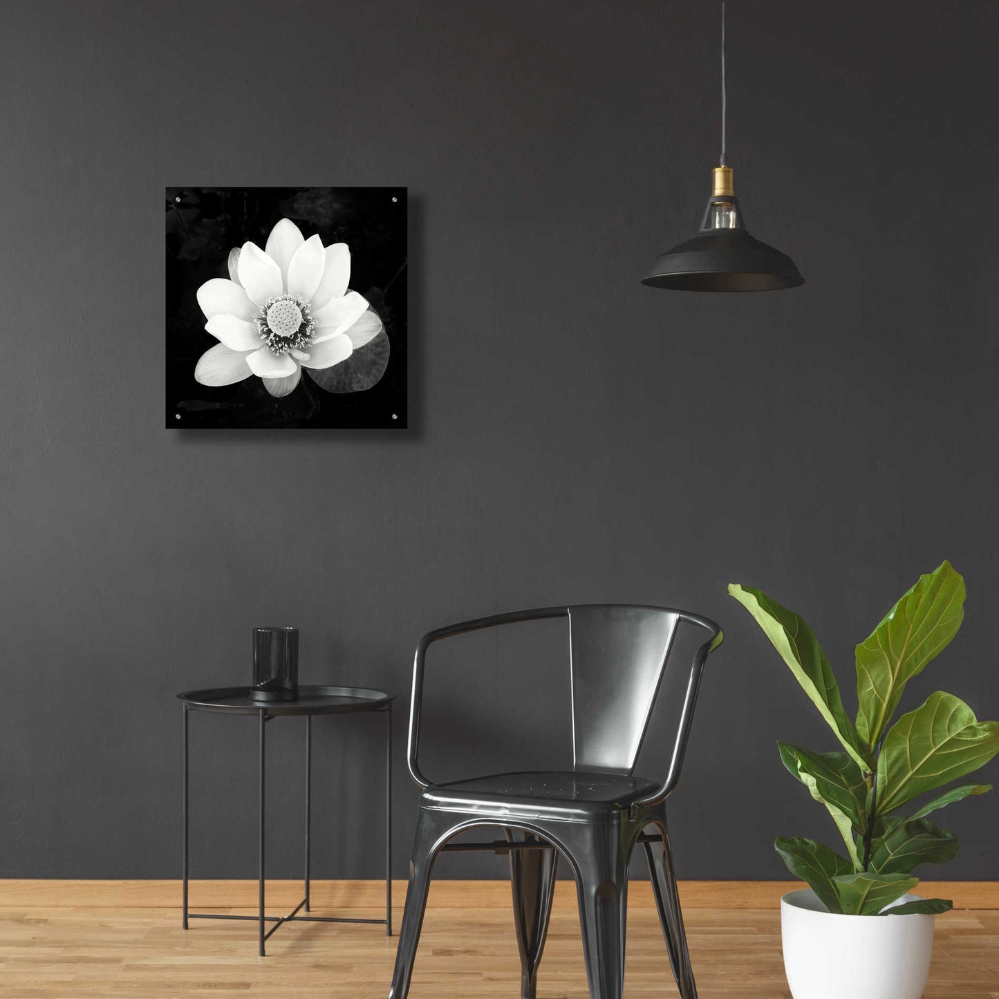 Epic Art 'Lotus Flower II' by Debra Van Swearingen, Acrylic Glass Wall Art,24x24