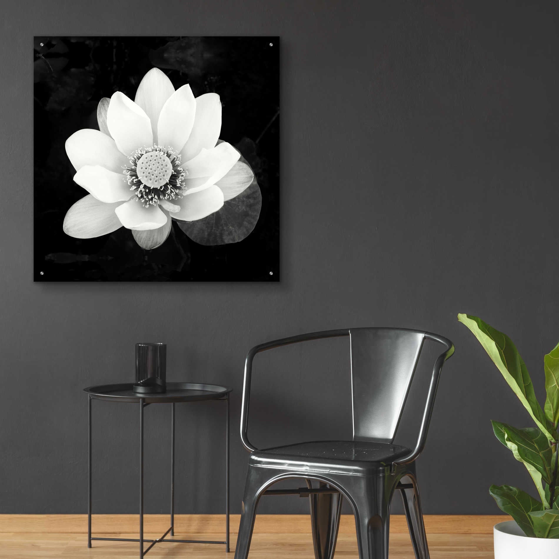 Epic Art 'Lotus Flower II' by Debra Van Swearingen, Acrylic Glass Wall Art,36x36