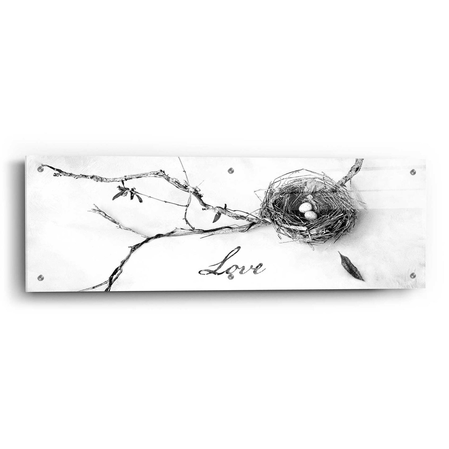 Epic Art 'Nest and Branch Love' by Debra Van Swearingen, Acrylic Glass Wall Art,36x12