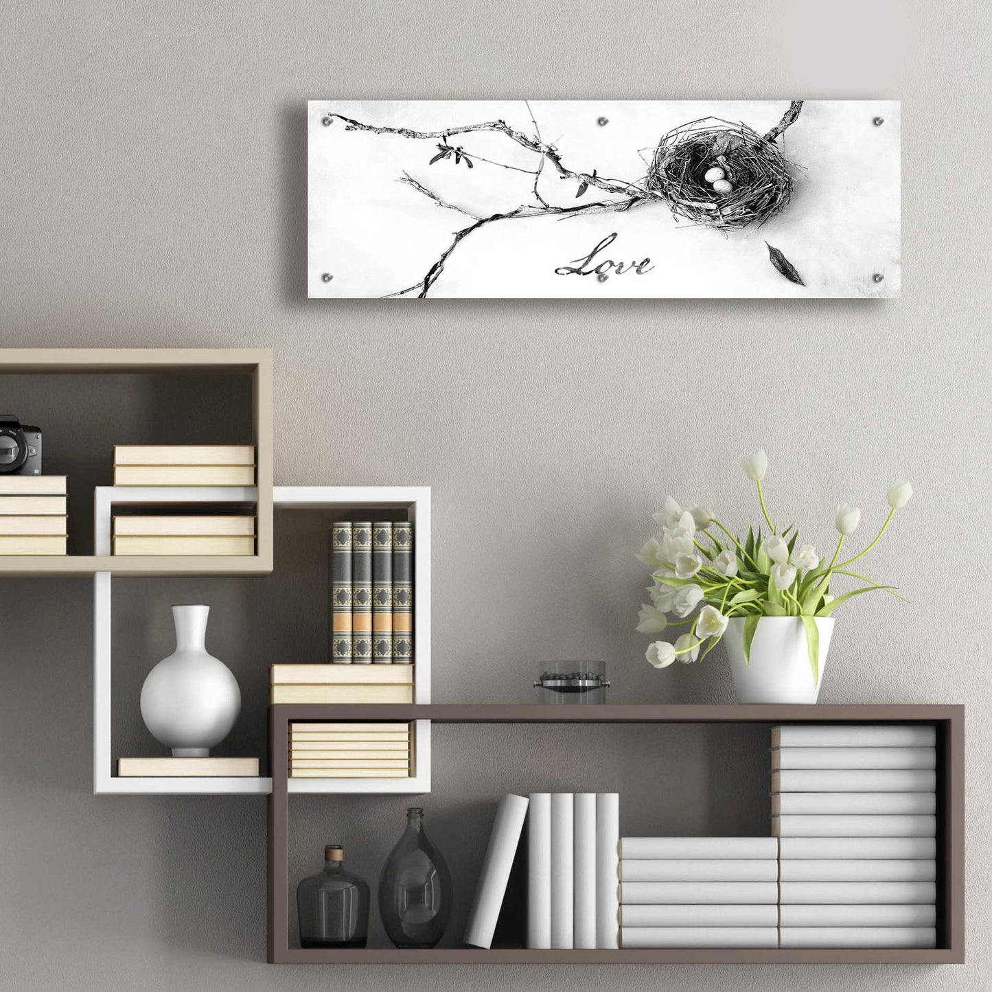 Epic Art 'Nest and Branch Love' by Debra Van Swearingen, Acrylic Glass Wall Art,36x12