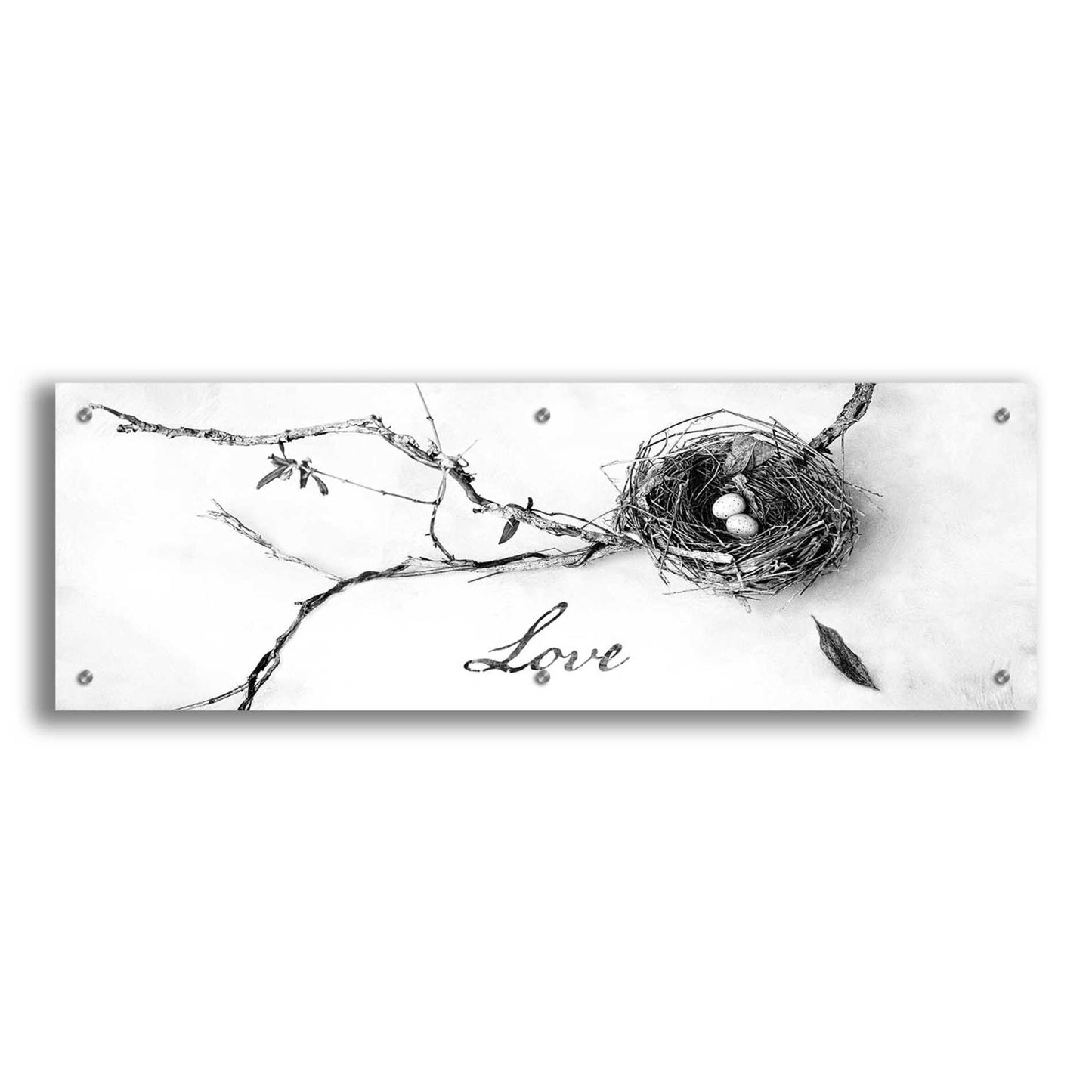 Epic Art 'Nest and Branch Love' by Debra Van Swearingen, Acrylic Glass Wall Art,36x12