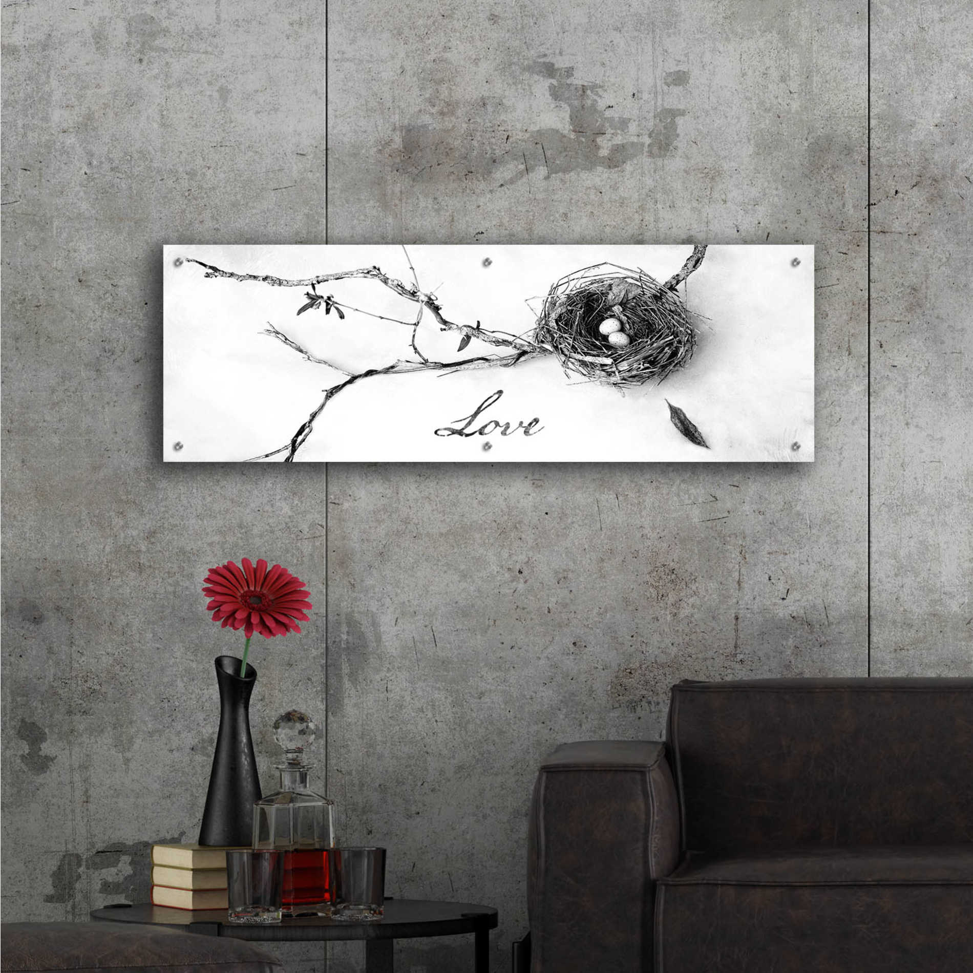 Epic Art 'Nest and Branch Love' by Debra Van Swearingen, Acrylic Glass Wall Art,48x16