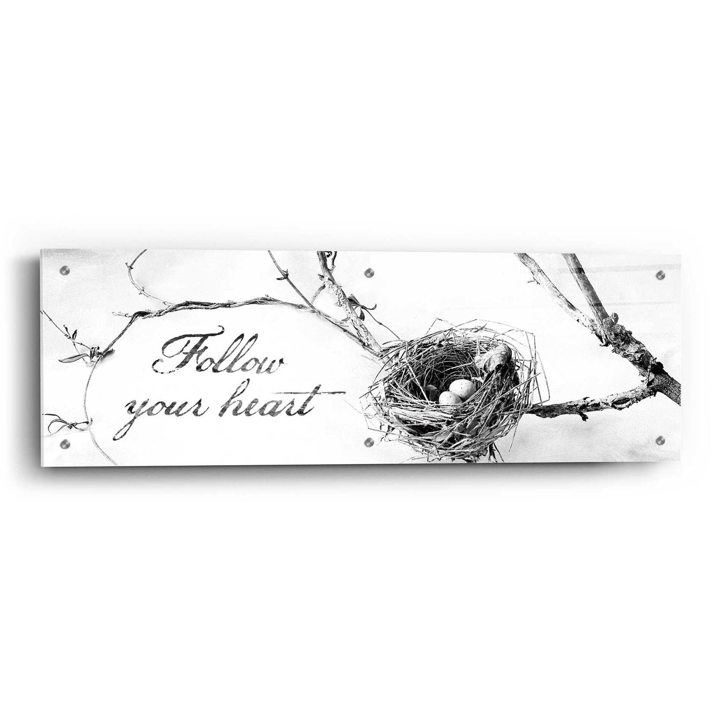 Epic Art 'Nest and Branch Follow Your Heart' by Debra Van Swearingen, Acrylic Glass Wall Art,36x12