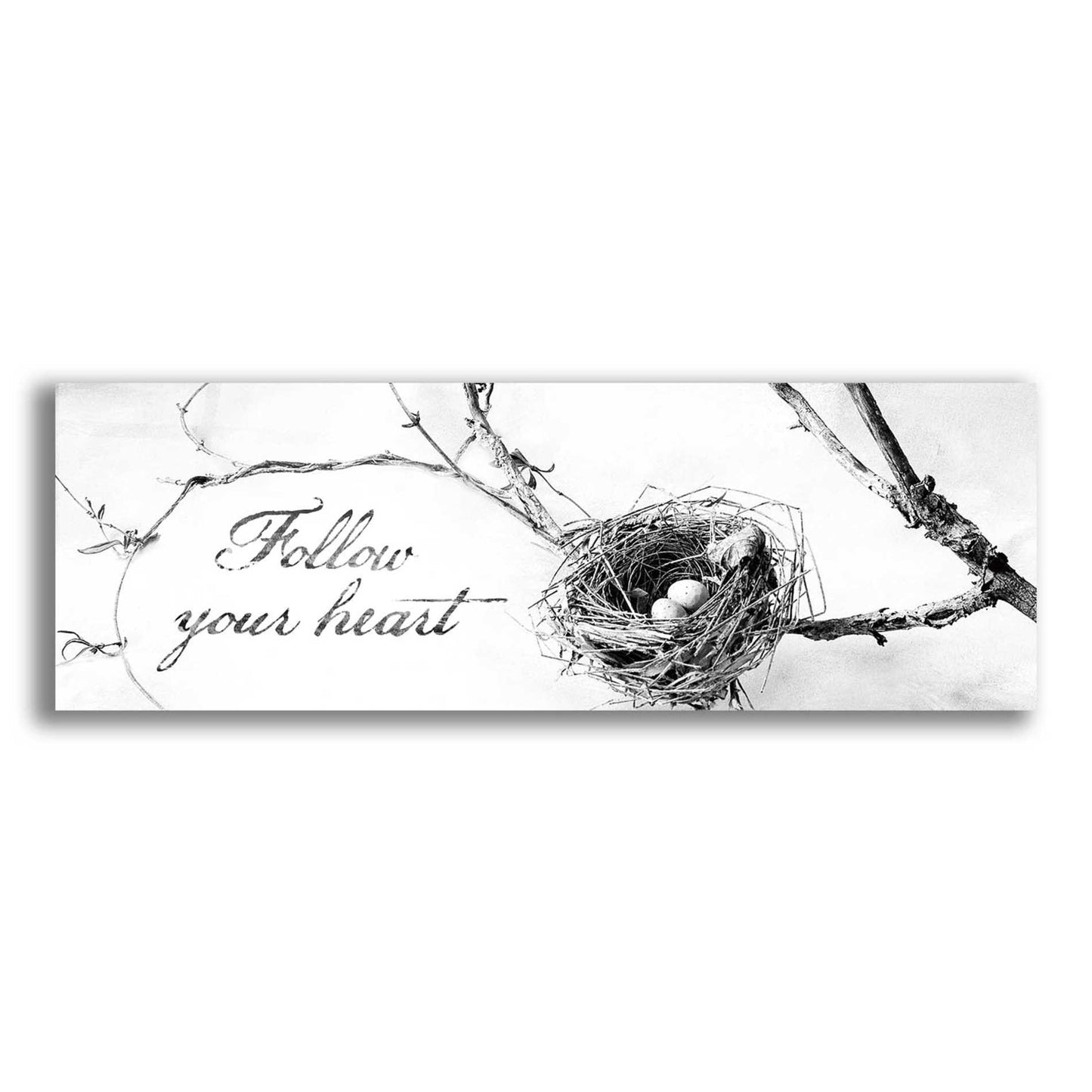 Epic Art 'Nest and Branch Follow Your Heart' by Debra Van Swearingen, Acrylic Glass Wall Art,36x12x1.74x0,60x20x1.74x0