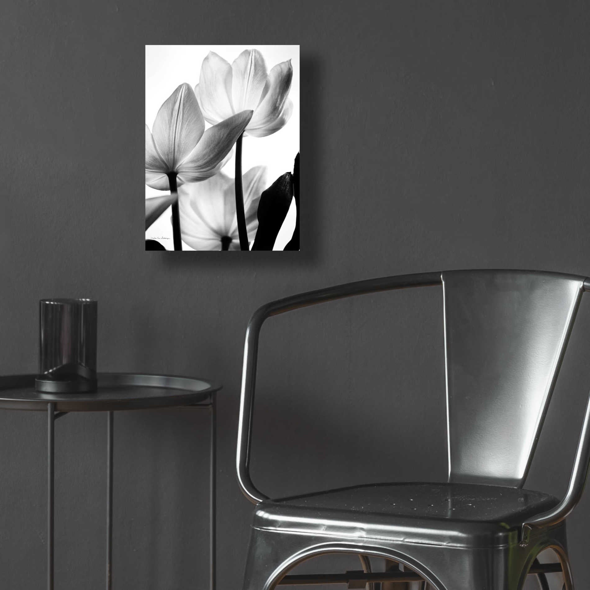 Epic Art 'Translucent Tulips III' by Debra Van Swearingen, Acrylic Glass Wall Art,12x16