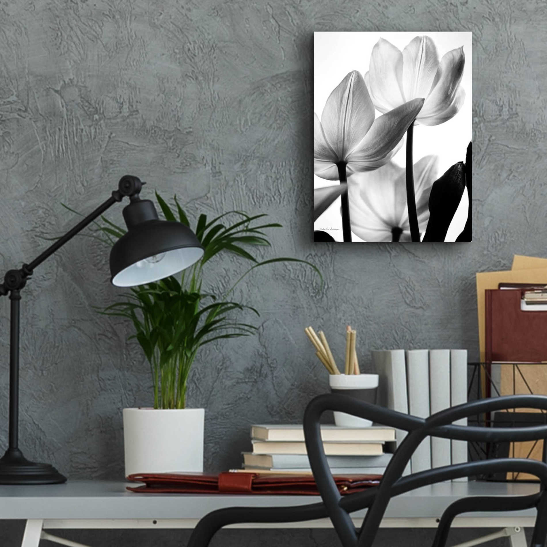 Epic Art 'Translucent Tulips III' by Debra Van Swearingen, Acrylic Glass Wall Art,12x16