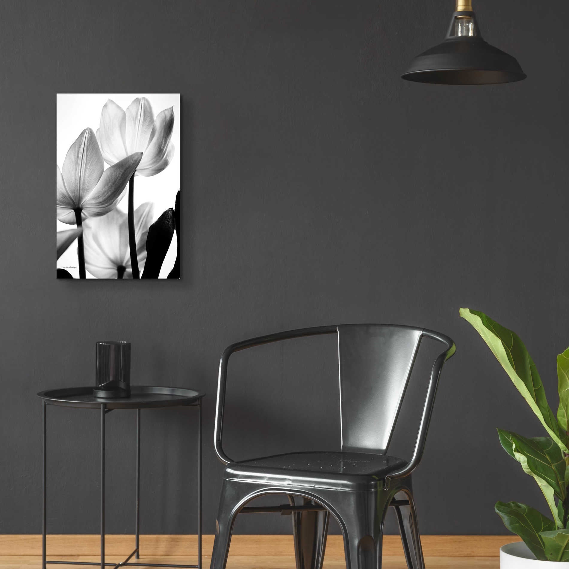 Epic Art 'Translucent Tulips III' by Debra Van Swearingen, Acrylic Glass Wall Art,16x24