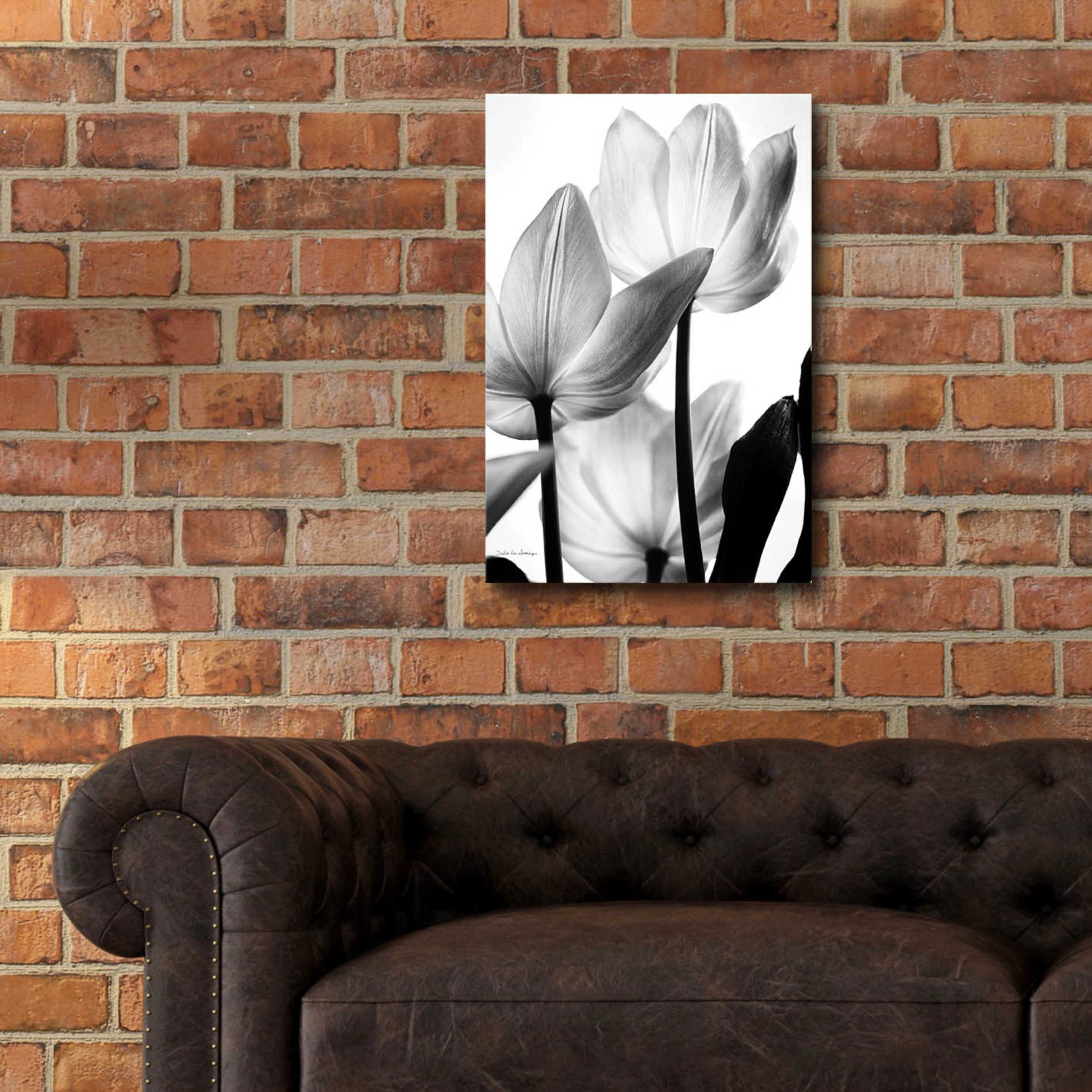 Epic Art 'Translucent Tulips III' by Debra Van Swearingen, Acrylic Glass Wall Art,16x24