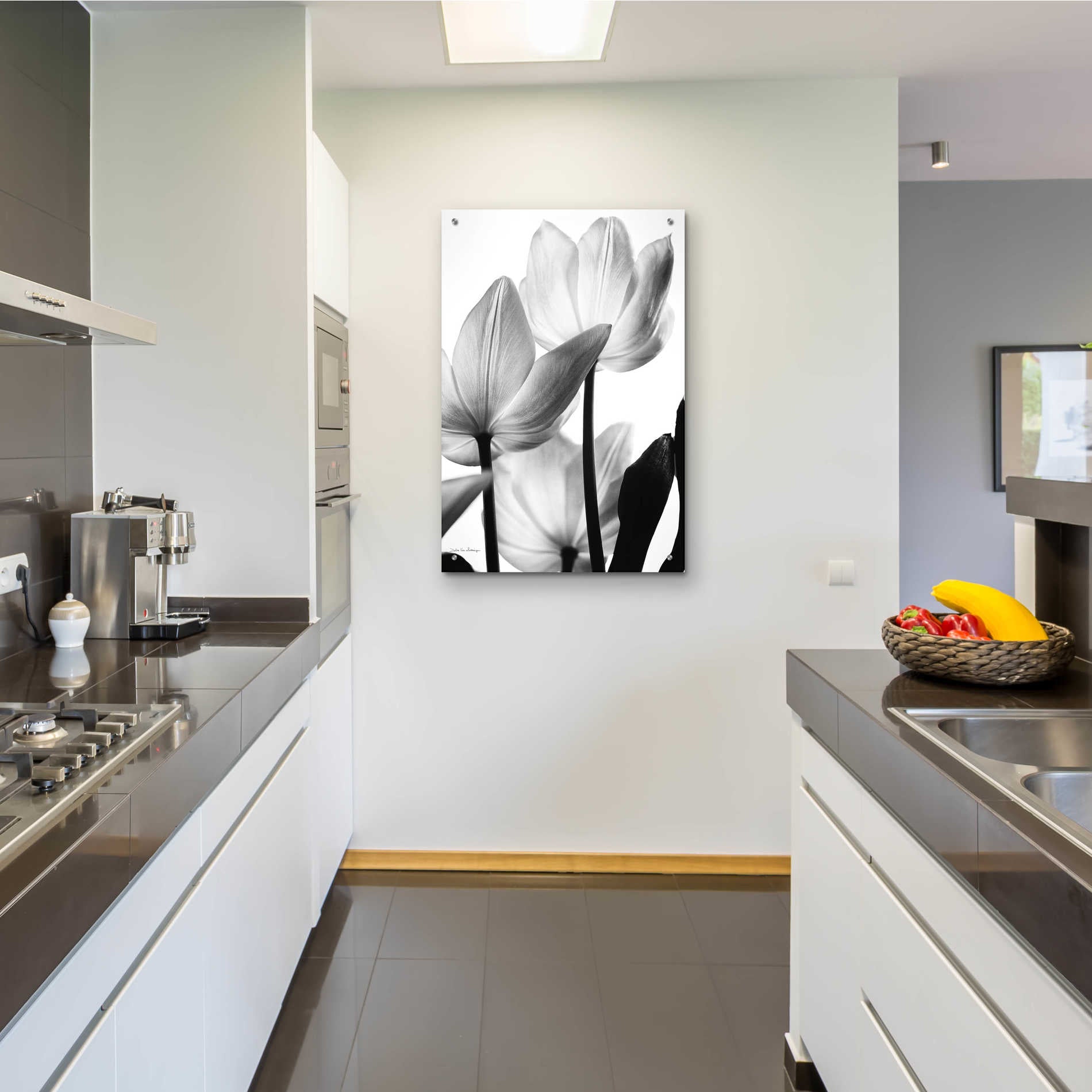 Epic Art 'Translucent Tulips III' by Debra Van Swearingen, Acrylic Glass Wall Art,24x36