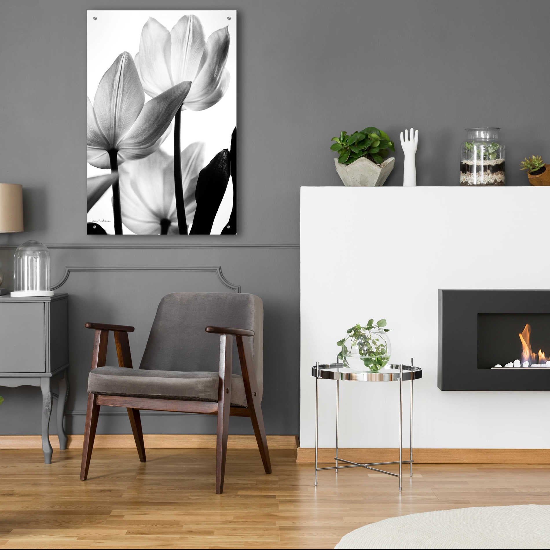 Epic Art 'Translucent Tulips III' by Debra Van Swearingen, Acrylic Glass Wall Art,24x36