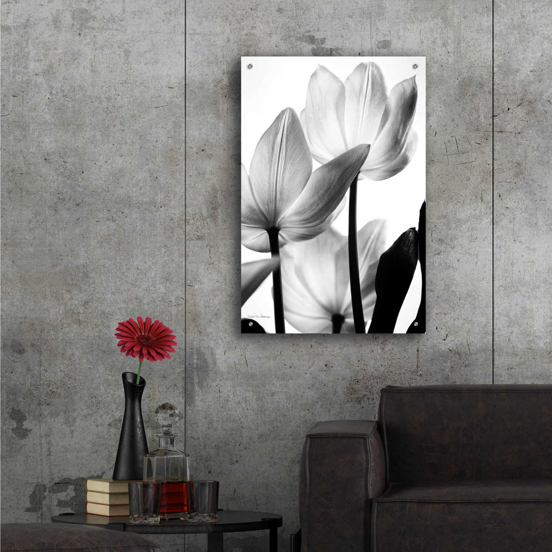 Epic Art 'Translucent Tulips III' by Debra Van Swearingen, Acrylic Glass Wall Art,24x36