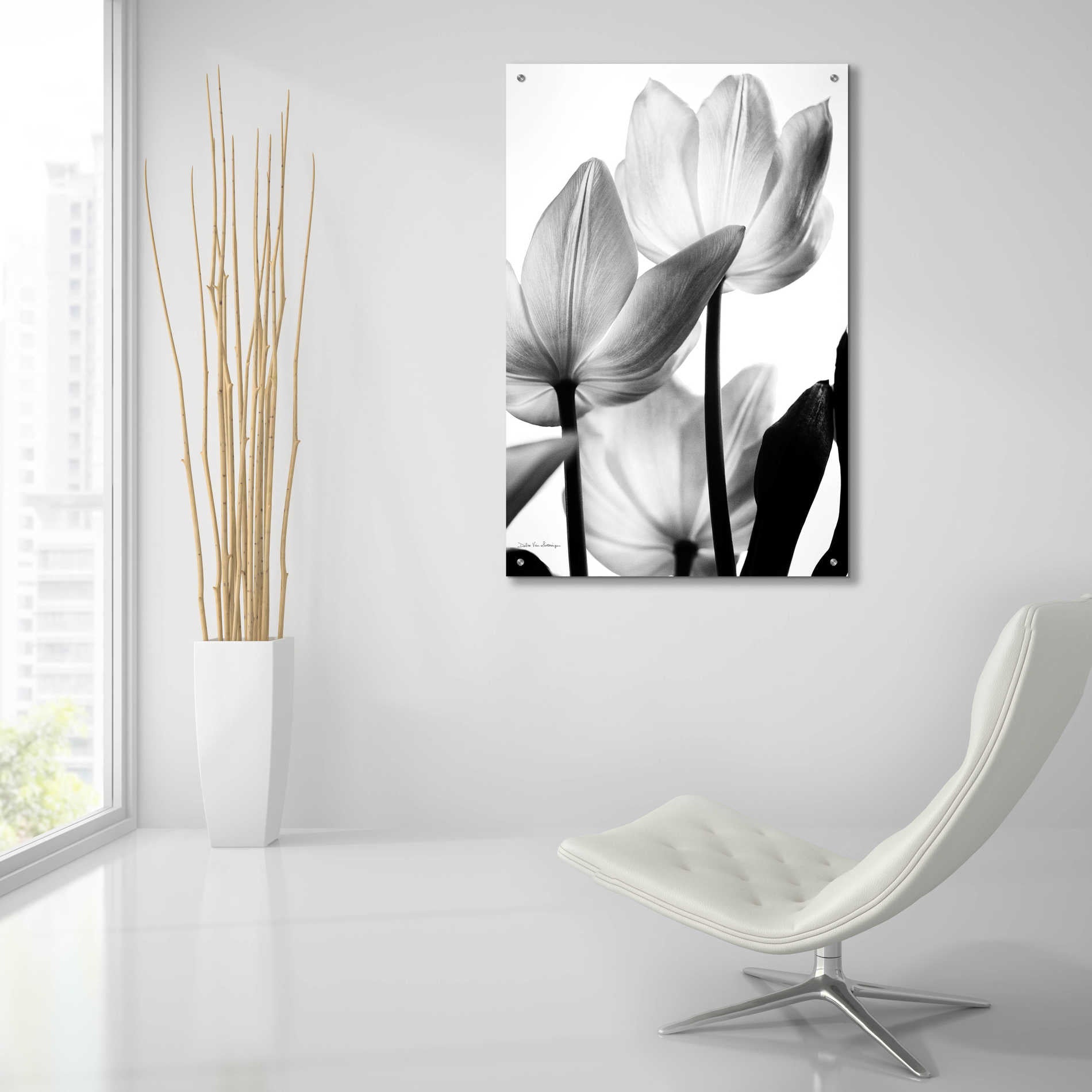 Epic Art 'Translucent Tulips III' by Debra Van Swearingen, Acrylic Glass Wall Art,24x36