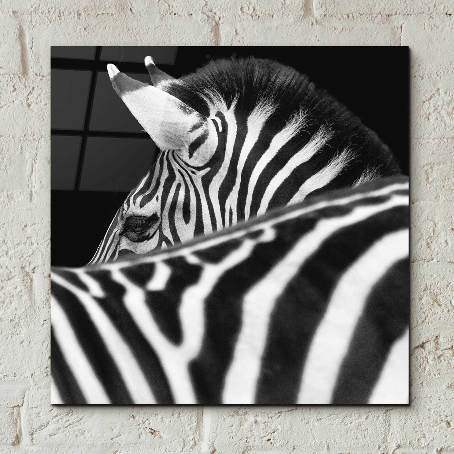 Epic Art 'Zebra III' by Debra Van Swearingen, Acrylic Glass Wall Art,12x12