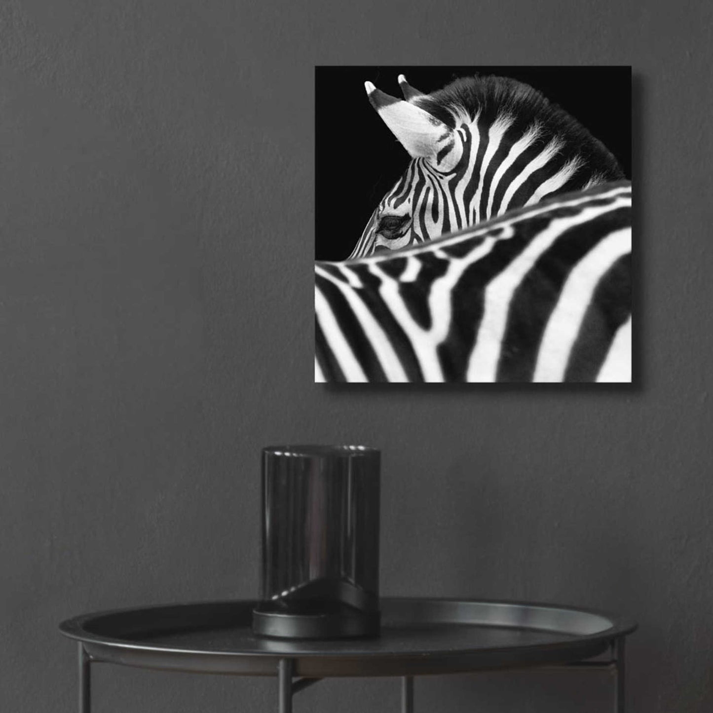 Epic Art 'Zebra III' by Debra Van Swearingen, Acrylic Glass Wall Art,12x12