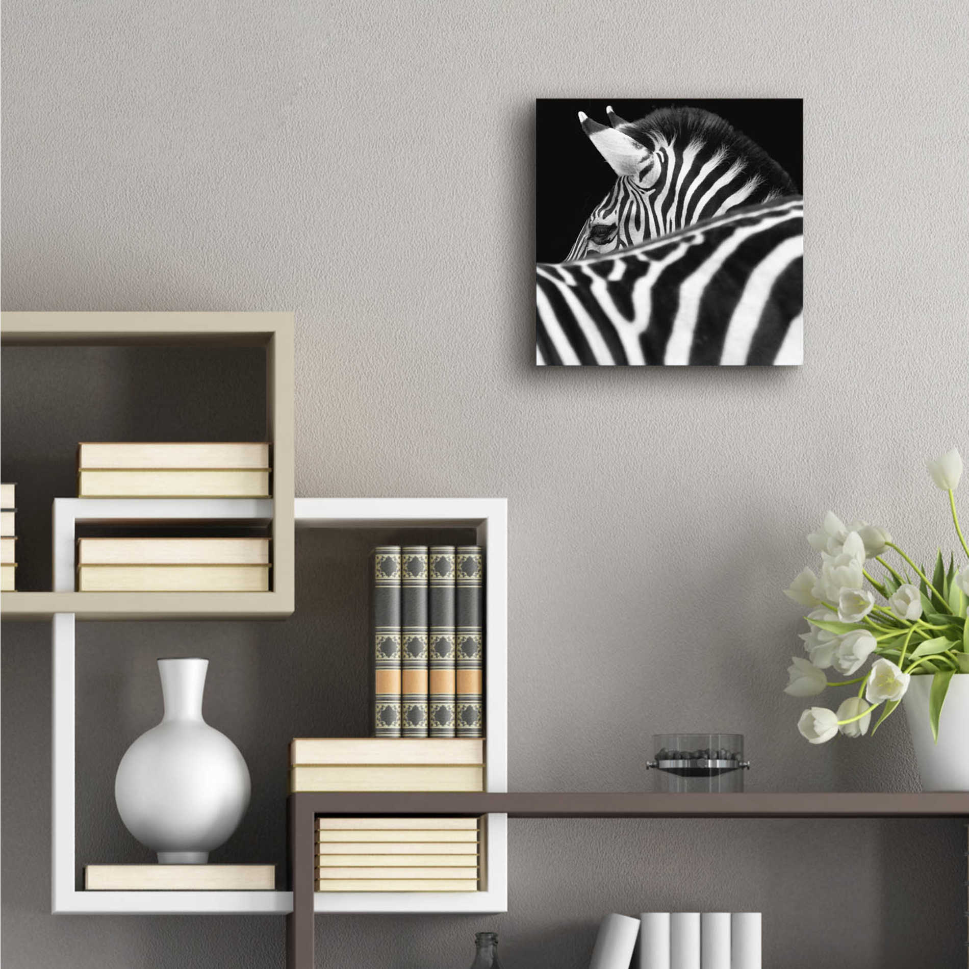 Epic Art 'Zebra III' by Debra Van Swearingen, Acrylic Glass Wall Art,12x12