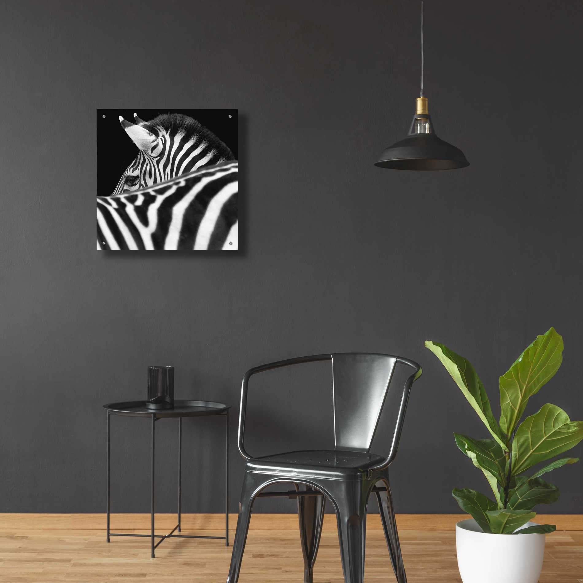 Epic Art 'Zebra III' by Debra Van Swearingen, Acrylic Glass Wall Art,24x24