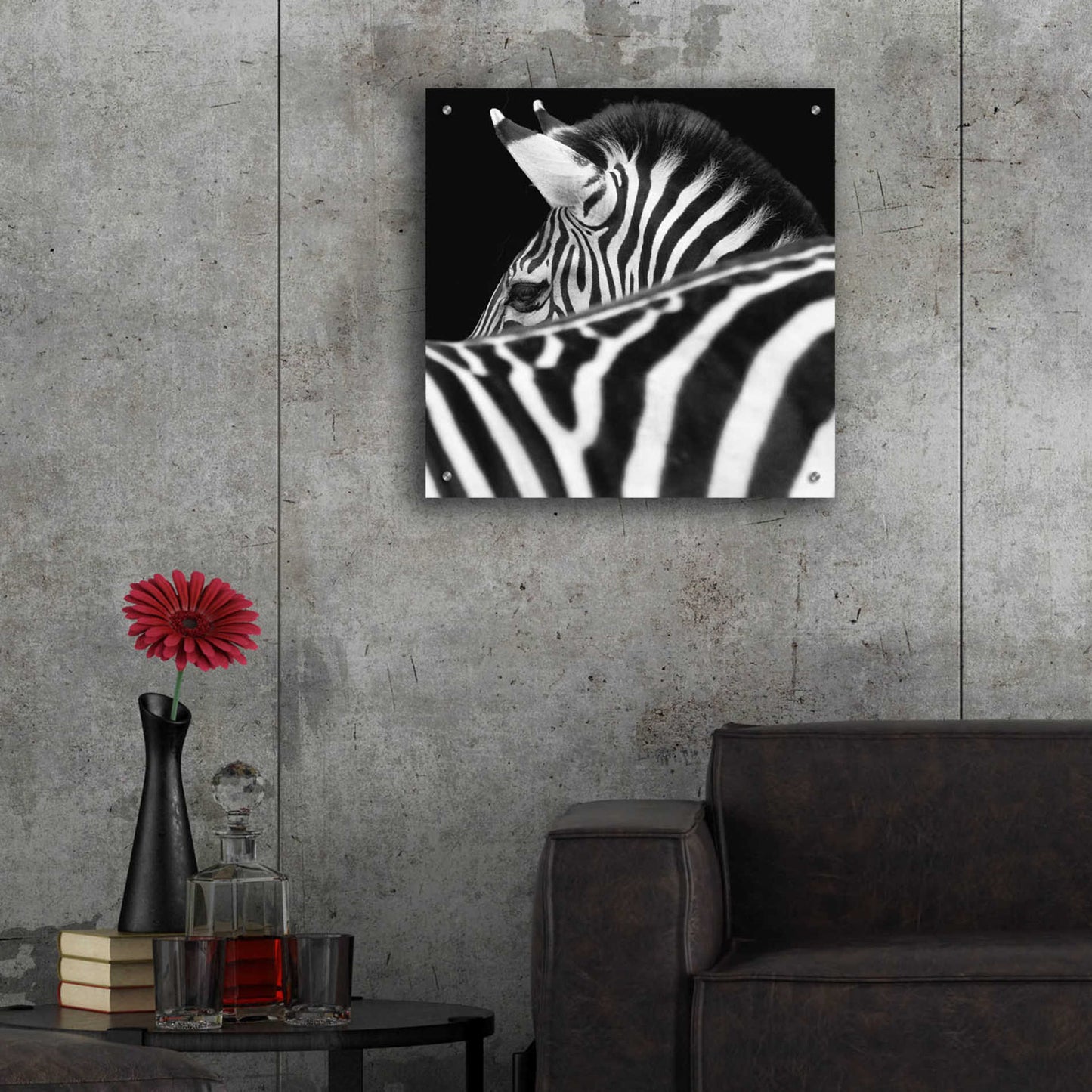 Epic Art 'Zebra III' by Debra Van Swearingen, Acrylic Glass Wall Art,24x24