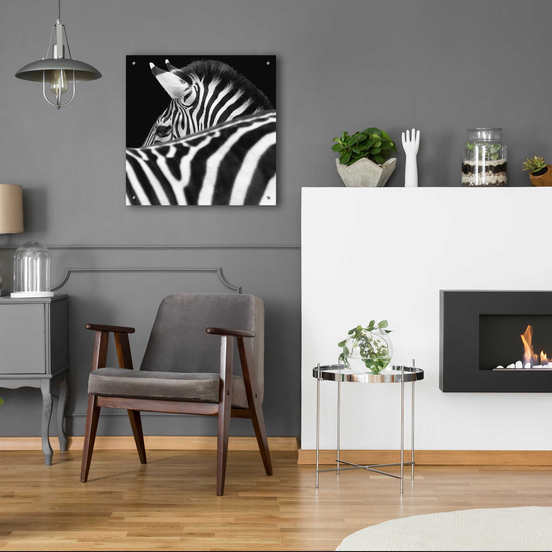 Epic Art 'Zebra III' by Debra Van Swearingen, Acrylic Glass Wall Art,24x24