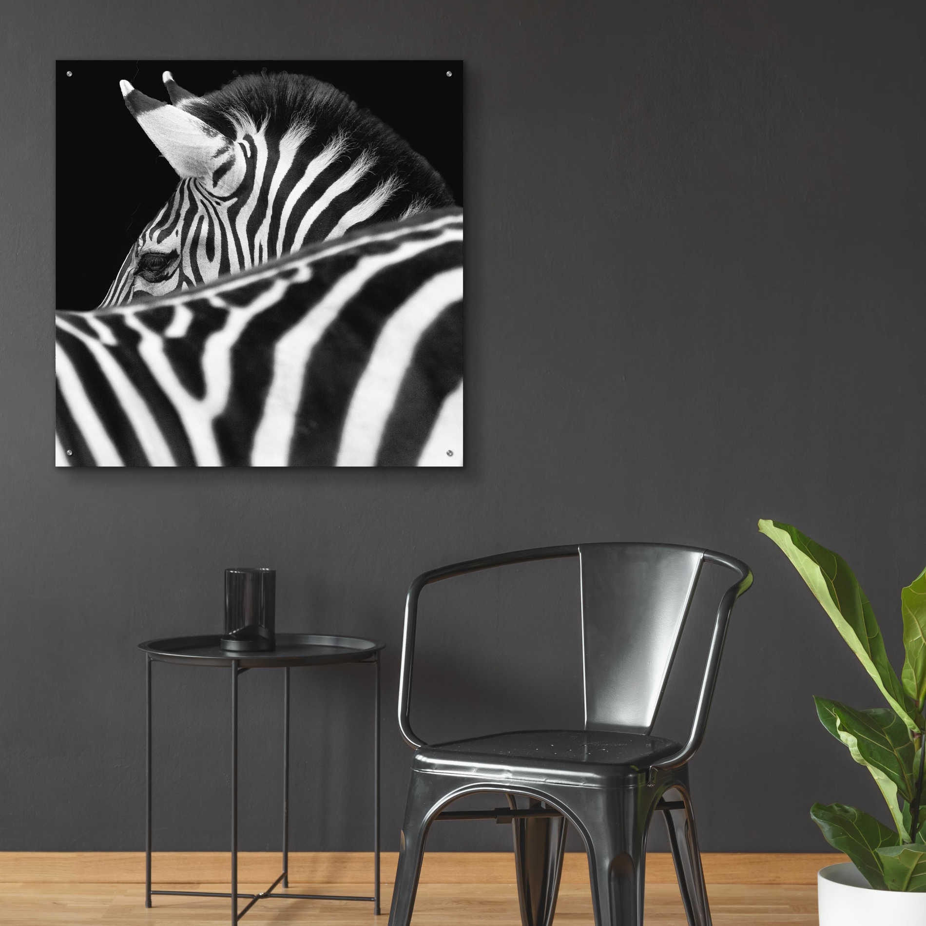 Epic Art 'Zebra III' by Debra Van Swearingen, Acrylic Glass Wall Art,36x36