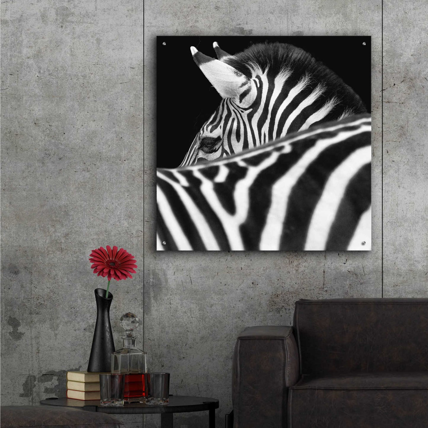 Epic Art 'Zebra III' by Debra Van Swearingen, Acrylic Glass Wall Art,36x36