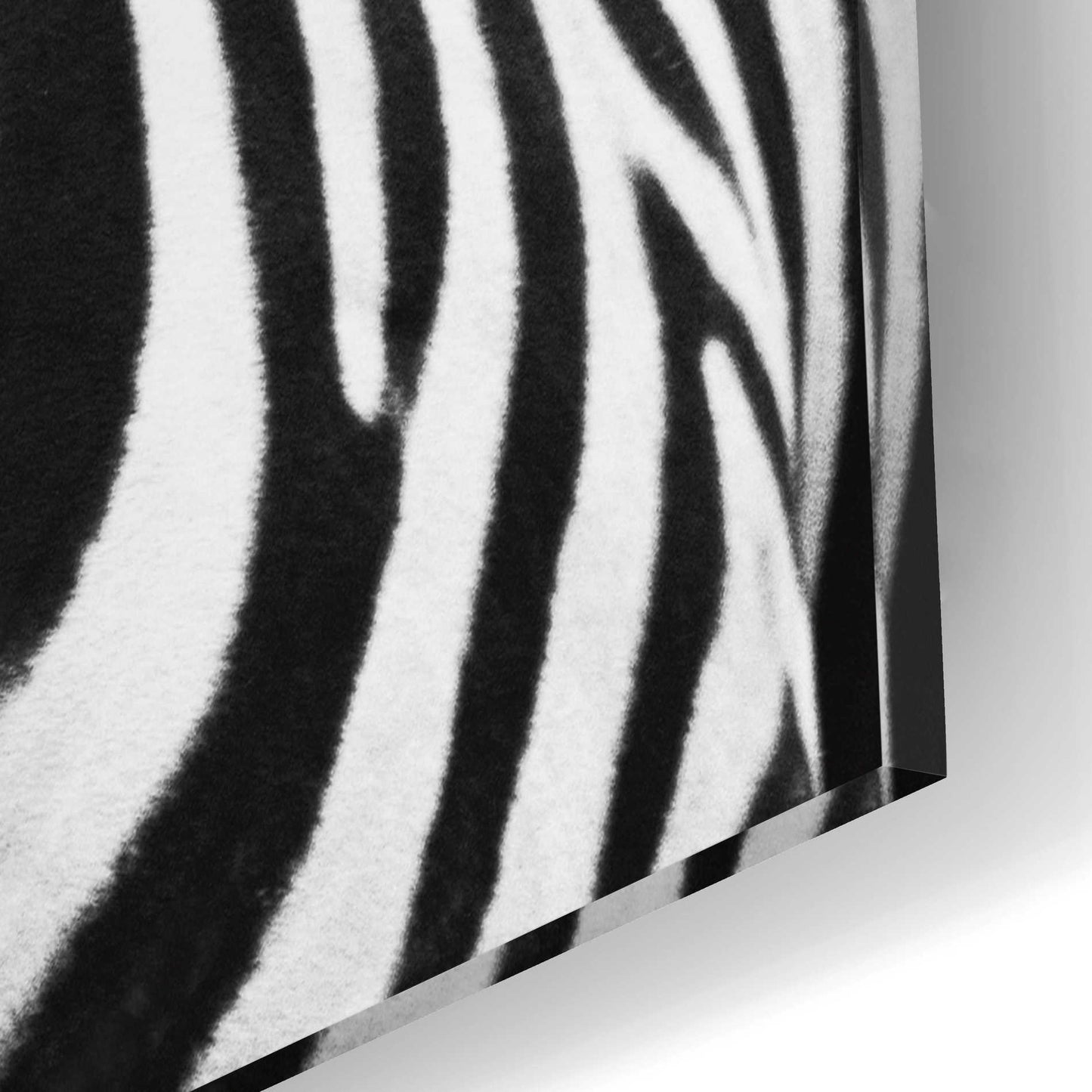 Epic Art 'Zebra II' by Debra Van Swearingen, Acrylic Glass Wall Art,12x16