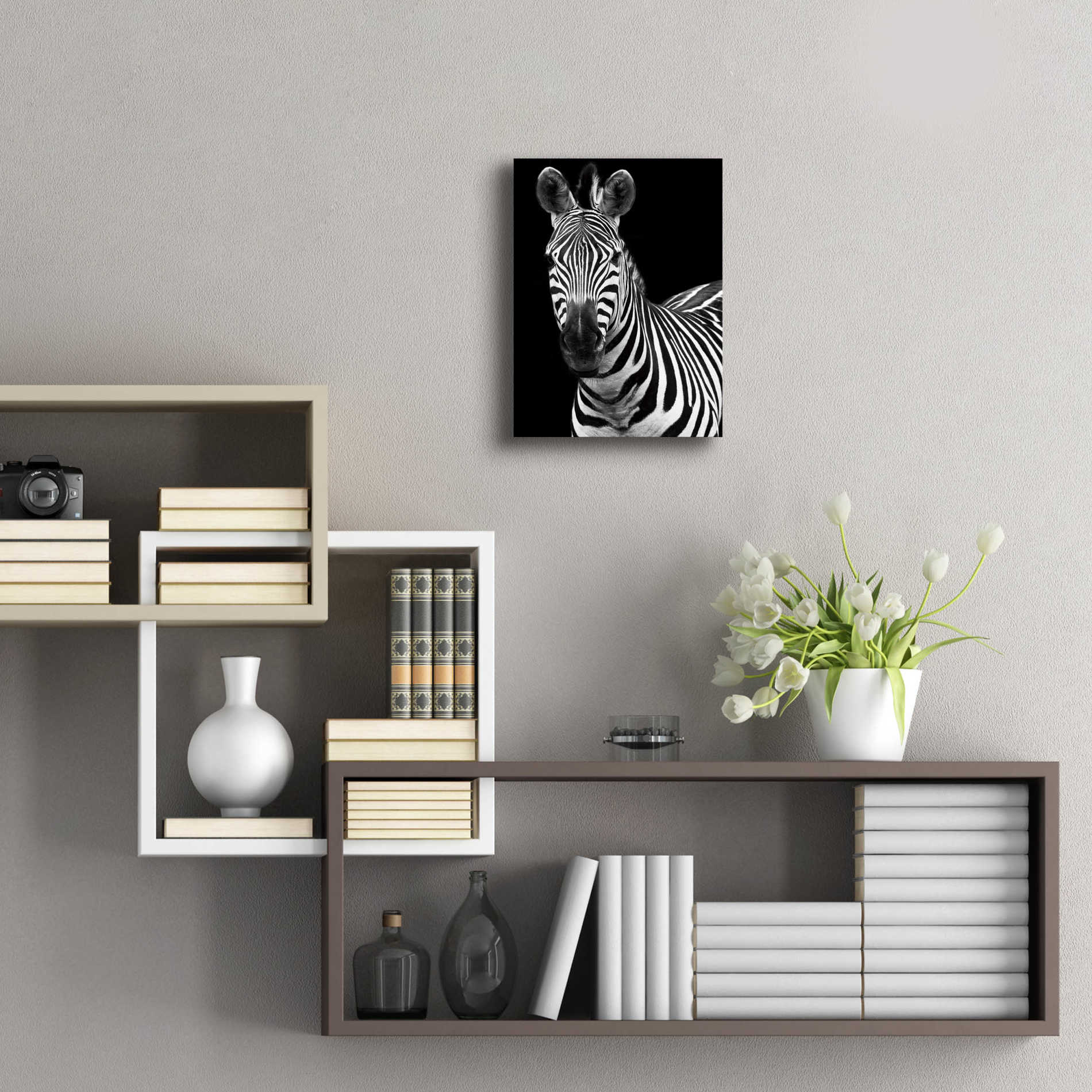 Epic Art 'Zebra II' by Debra Van Swearingen, Acrylic Glass Wall Art,12x16