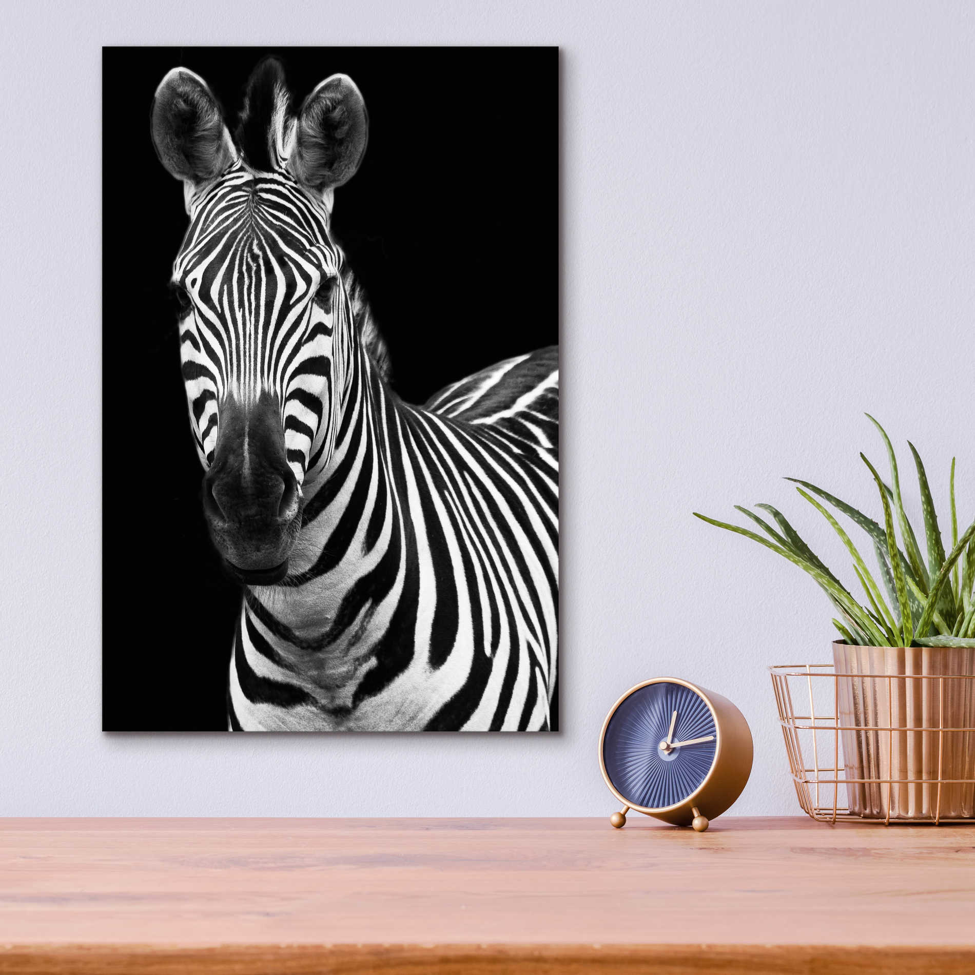 Epic Art 'Zebra II' by Debra Van Swearingen, Acrylic Glass Wall Art,12x16