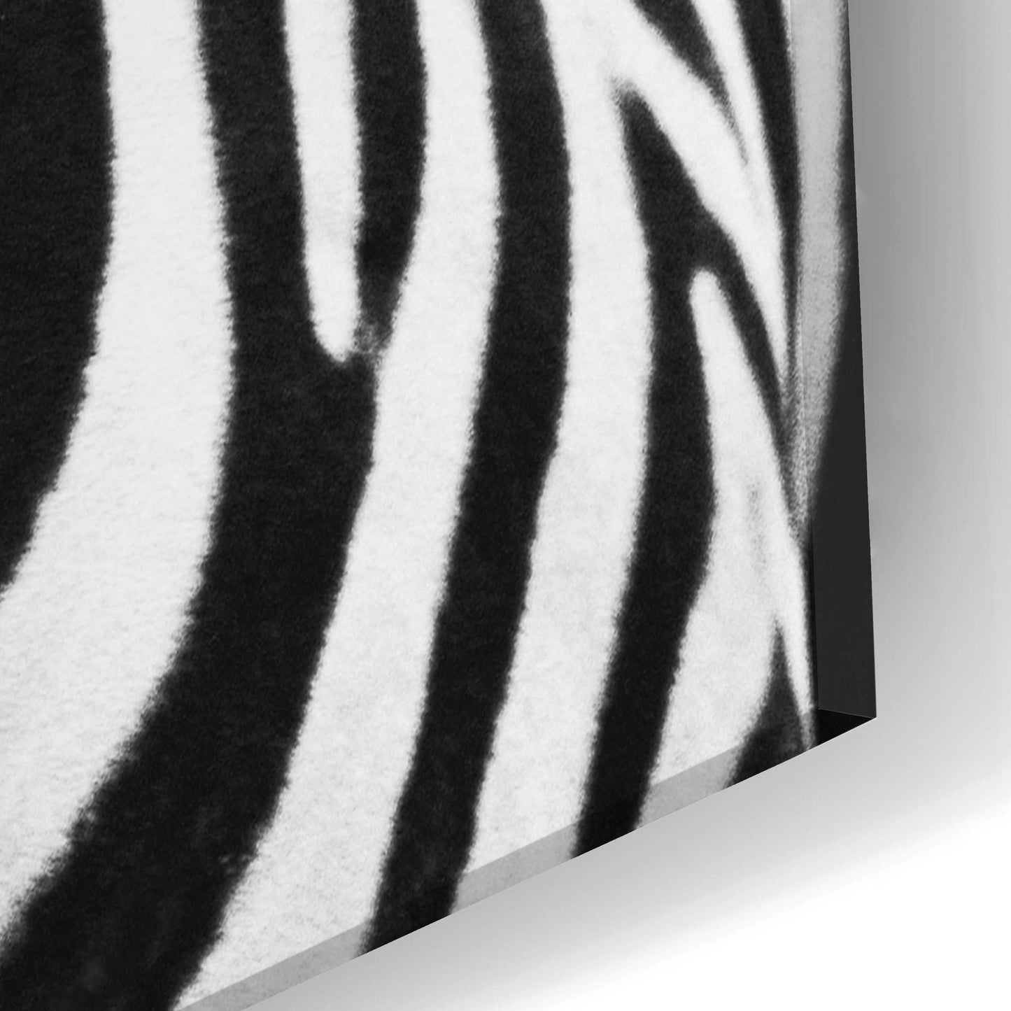 Epic Art 'Zebra II' by Debra Van Swearingen, Acrylic Glass Wall Art,16x24