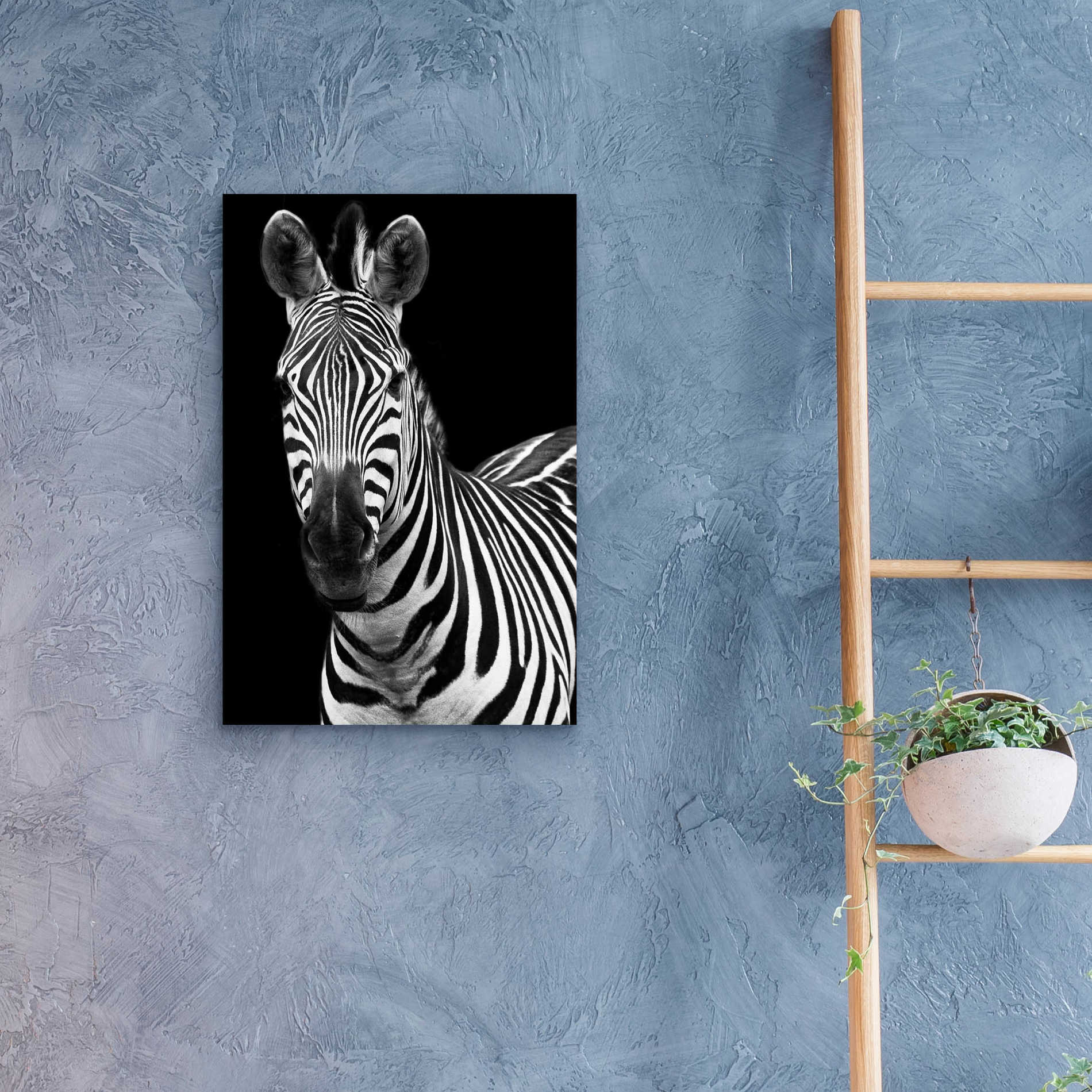 Epic Art 'Zebra II' by Debra Van Swearingen, Acrylic Glass Wall Art,16x24