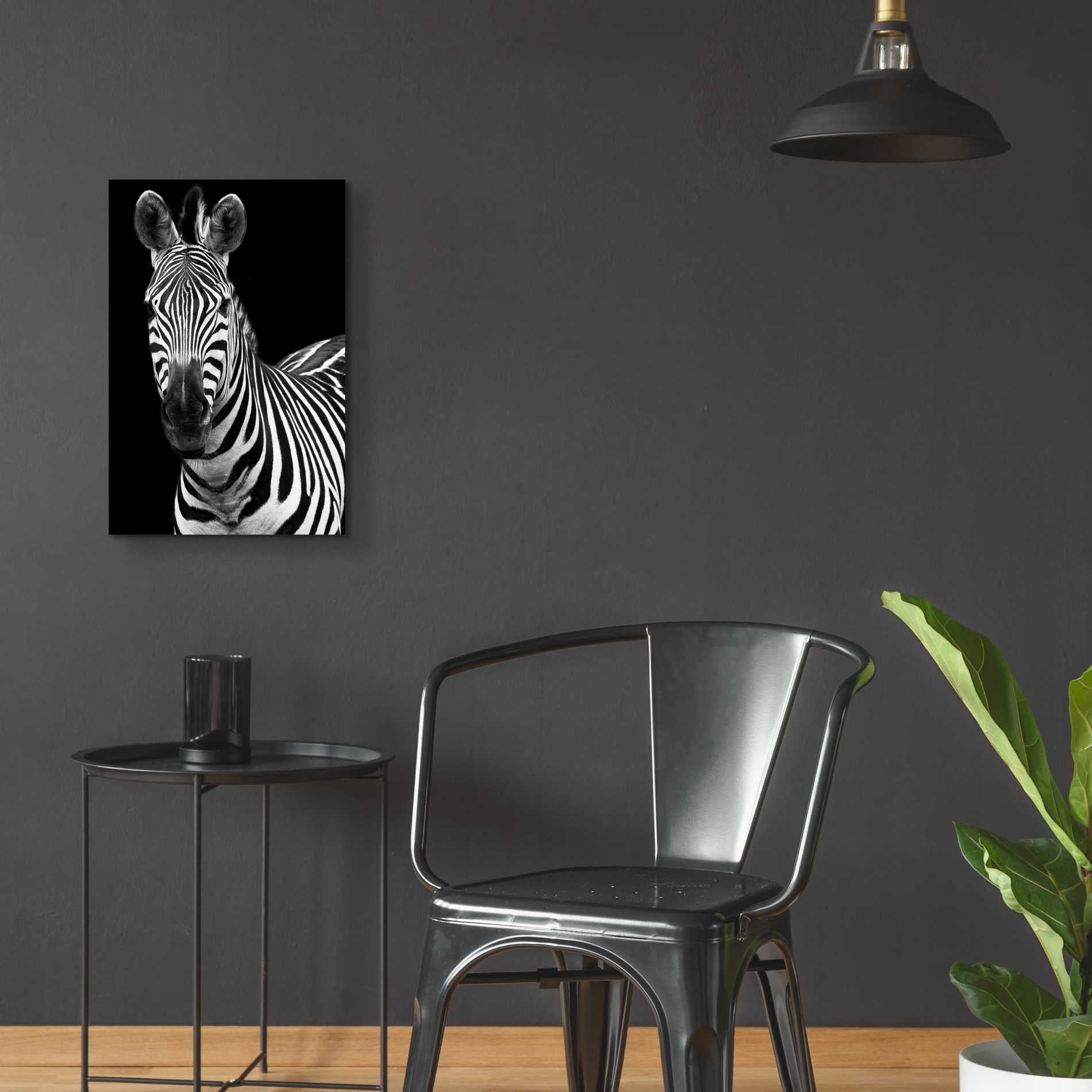 Epic Art 'Zebra II' by Debra Van Swearingen, Acrylic Glass Wall Art,16x24