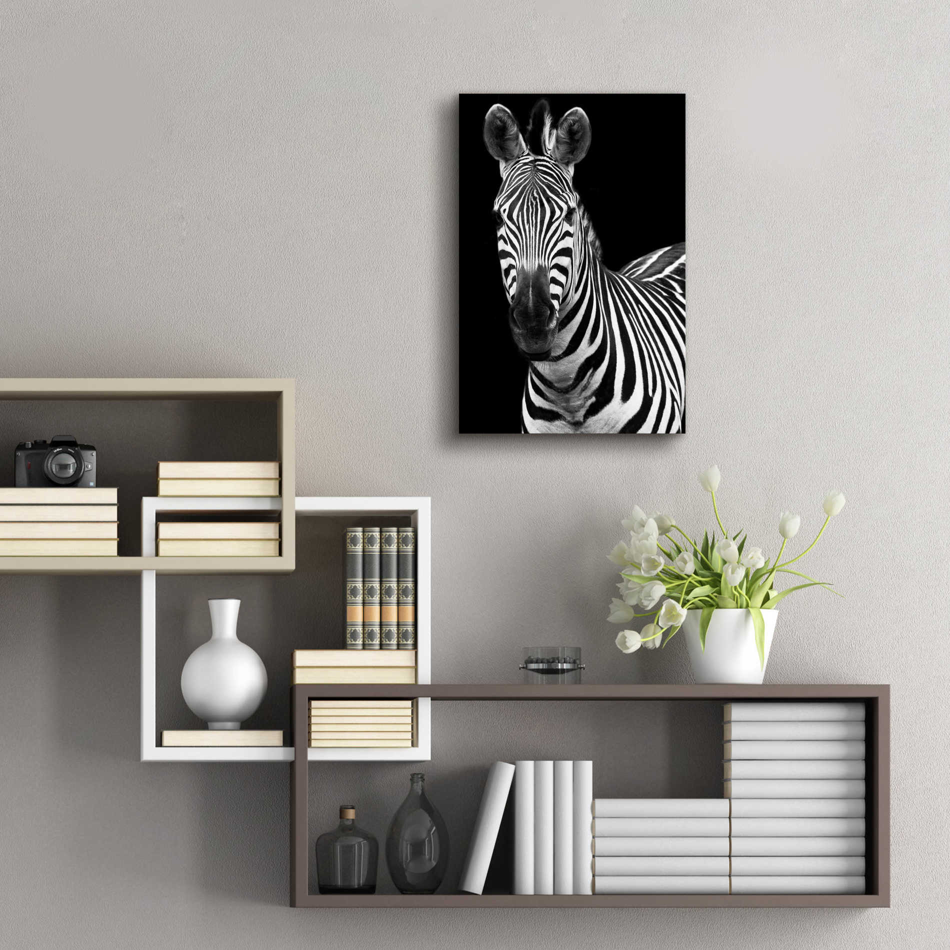 Epic Art 'Zebra II' by Debra Van Swearingen, Acrylic Glass Wall Art,16x24