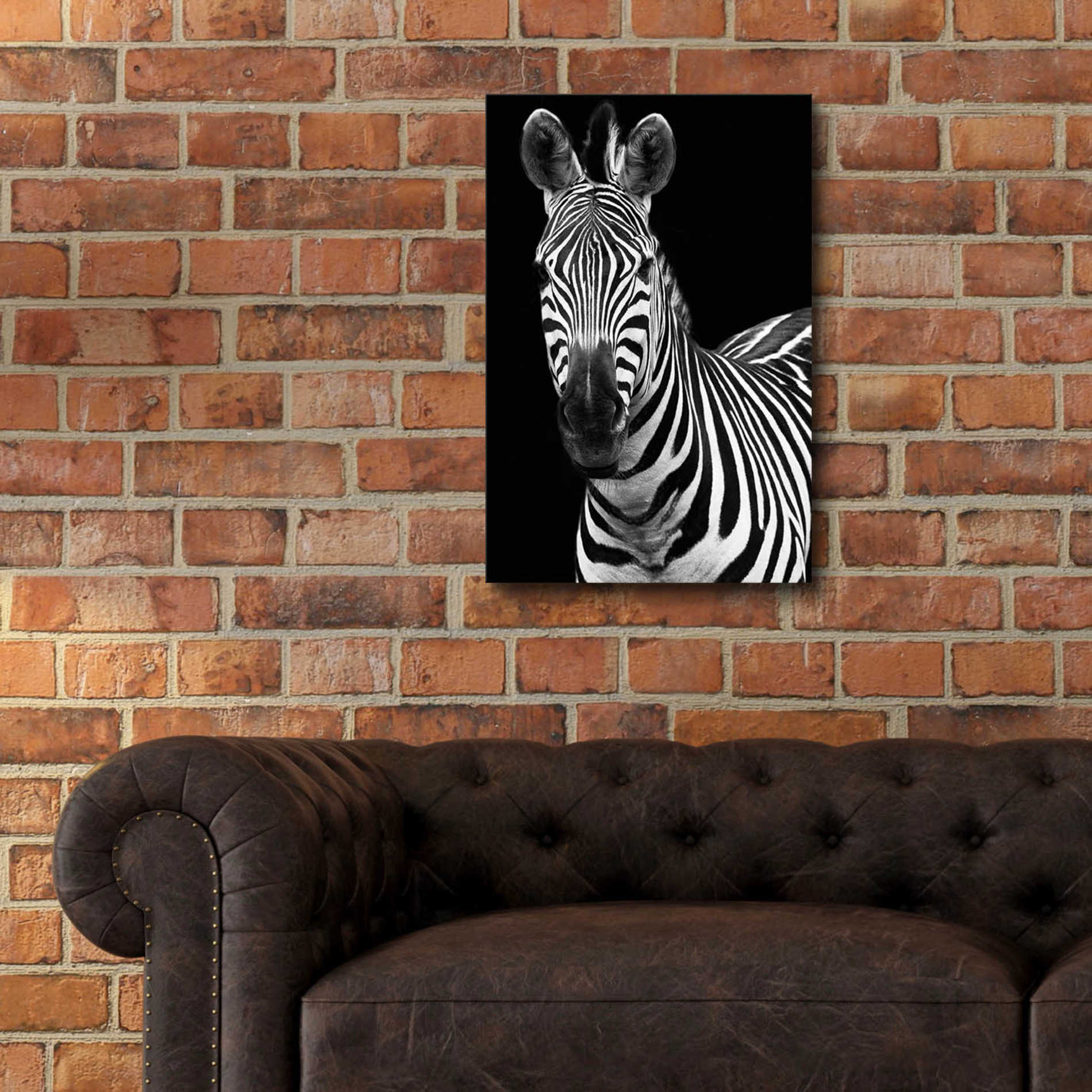 Epic Art 'Zebra II' by Debra Van Swearingen, Acrylic Glass Wall Art,16x24