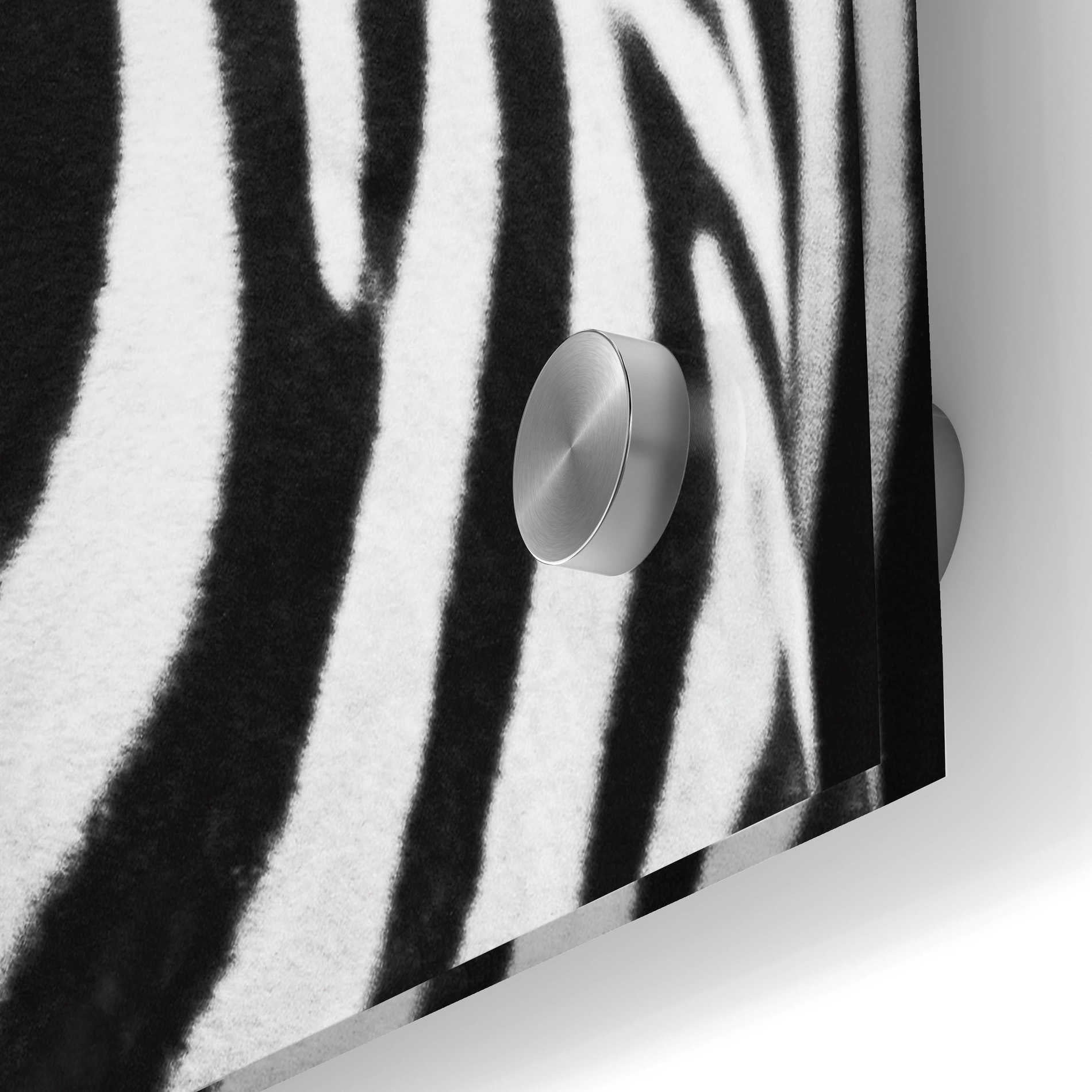 Epic Art 'Zebra II' by Debra Van Swearingen, Acrylic Glass Wall Art,24x36