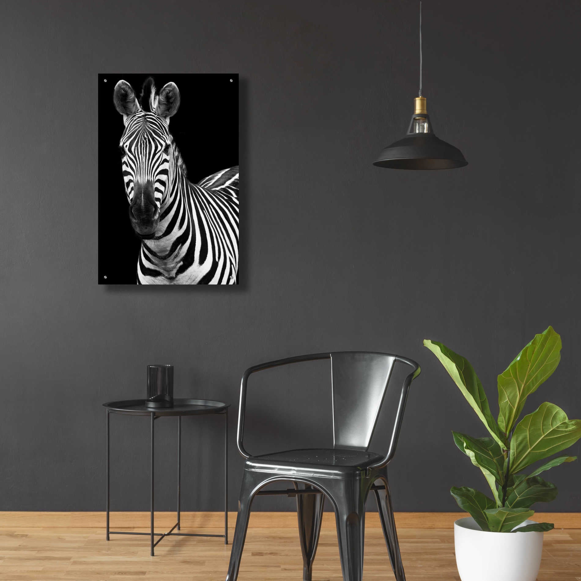 Epic Art 'Zebra II' by Debra Van Swearingen, Acrylic Glass Wall Art,24x36