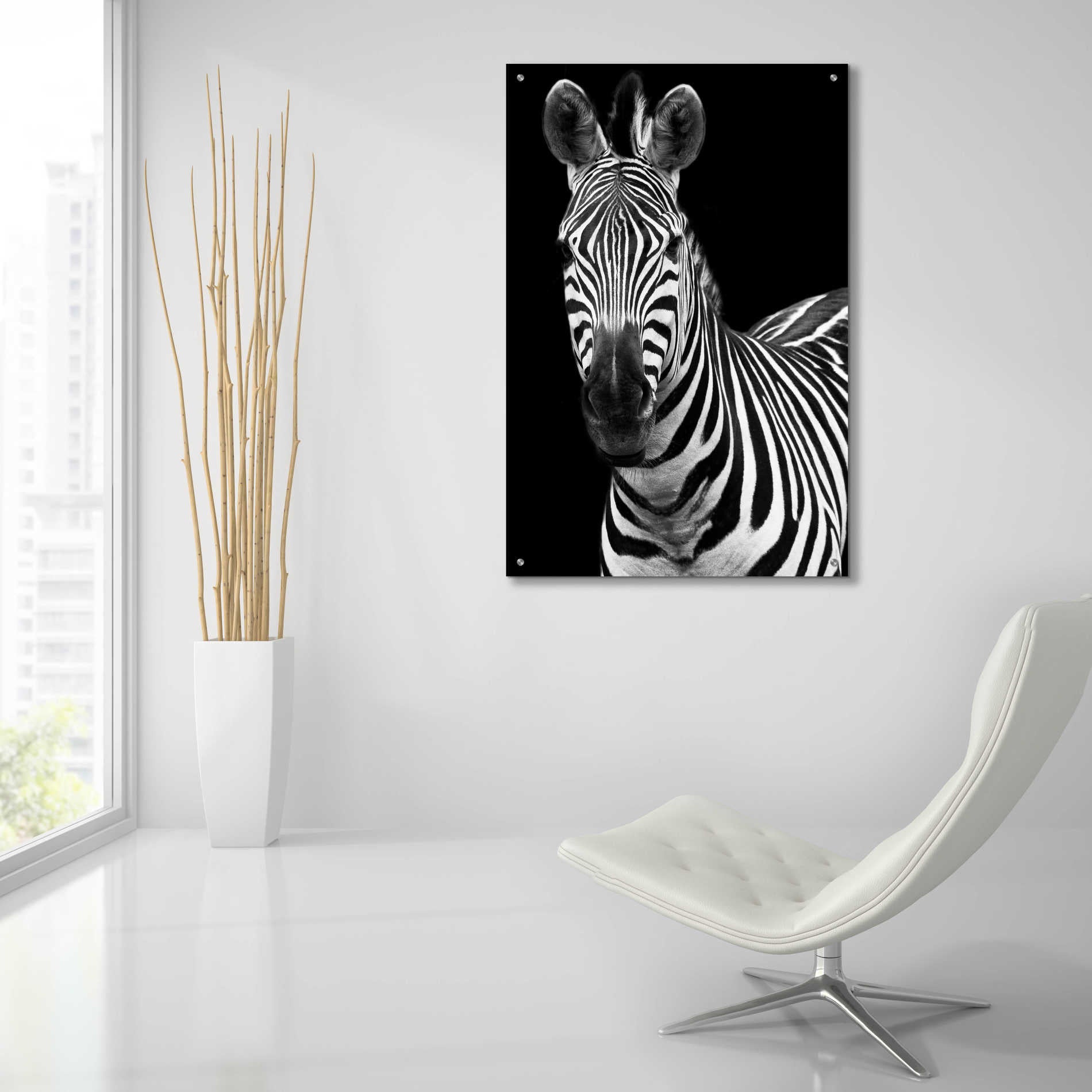 Epic Art 'Zebra II' by Debra Van Swearingen, Acrylic Glass Wall Art,24x36