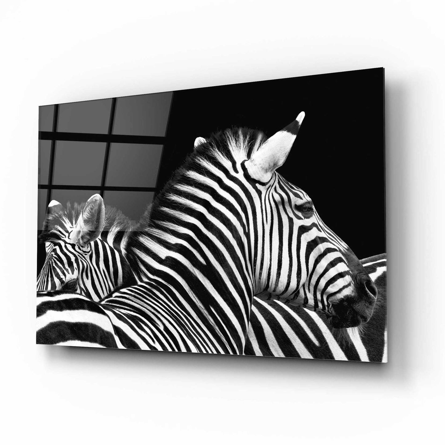 Epic Art 'Zebra I' by Debra Van Swearingen, Acrylic Glass Wall Art,16x12