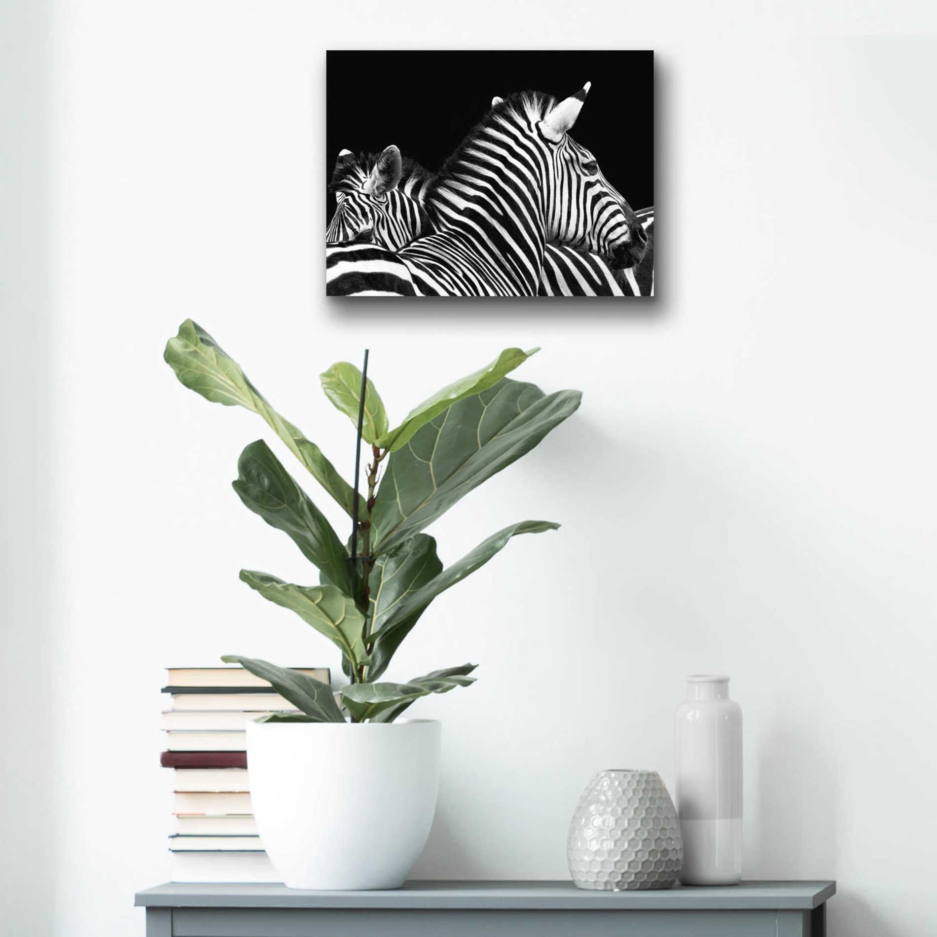 Epic Art 'Zebra I' by Debra Van Swearingen, Acrylic Glass Wall Art,16x12