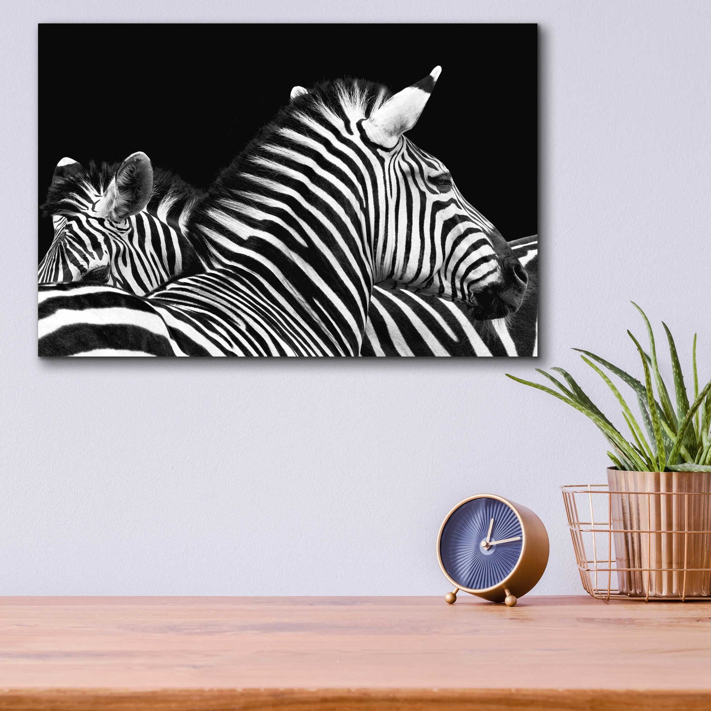 Epic Art 'Zebra I' by Debra Van Swearingen, Acrylic Glass Wall Art,16x12